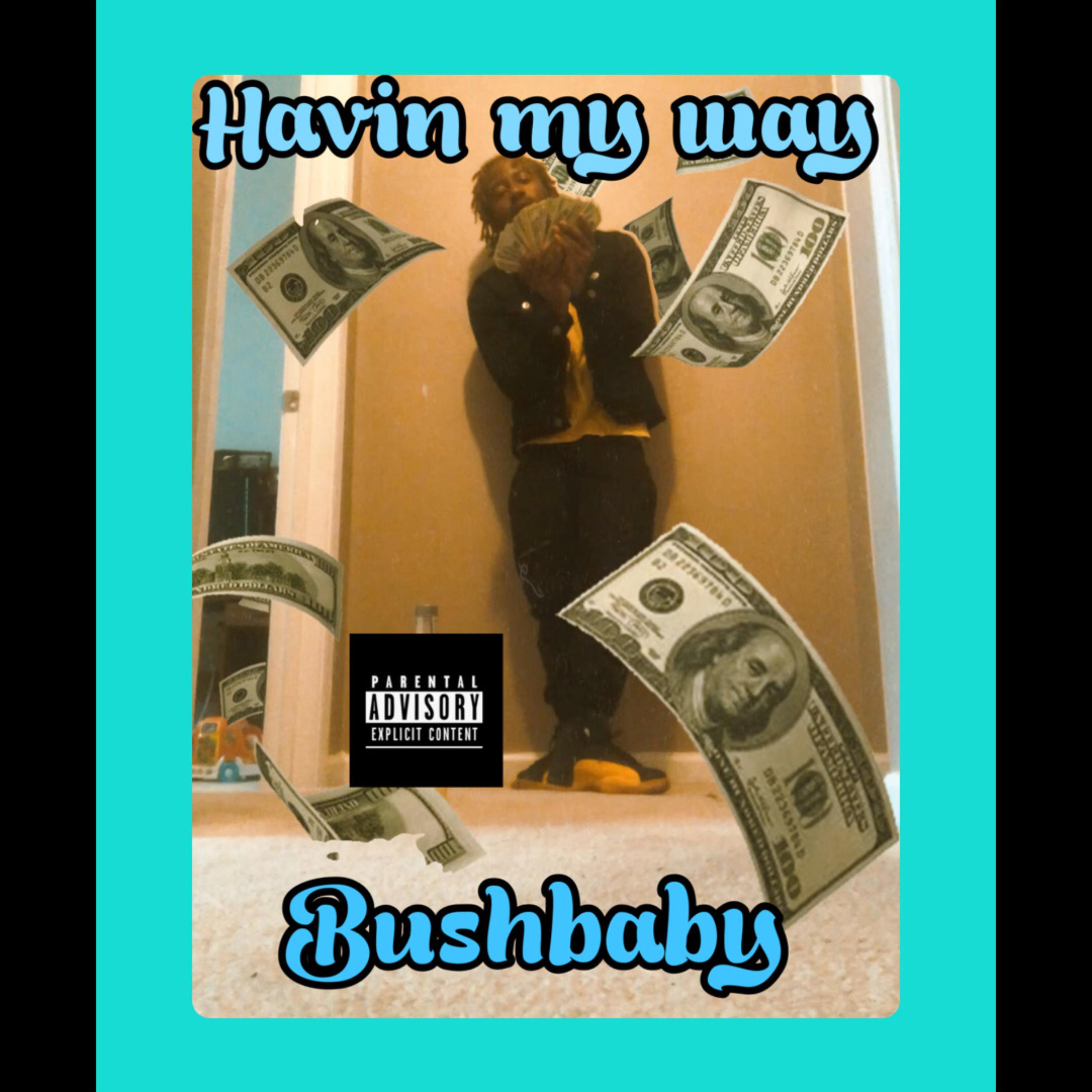 Havin My Way artwork