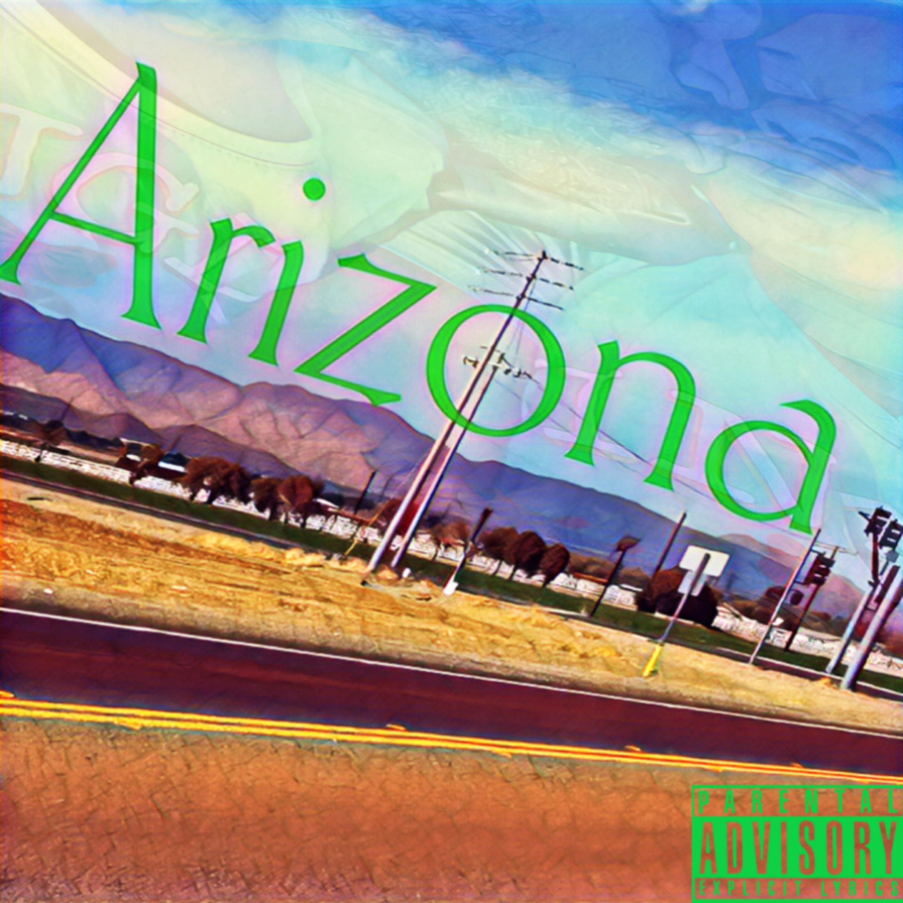 Arizona artwork