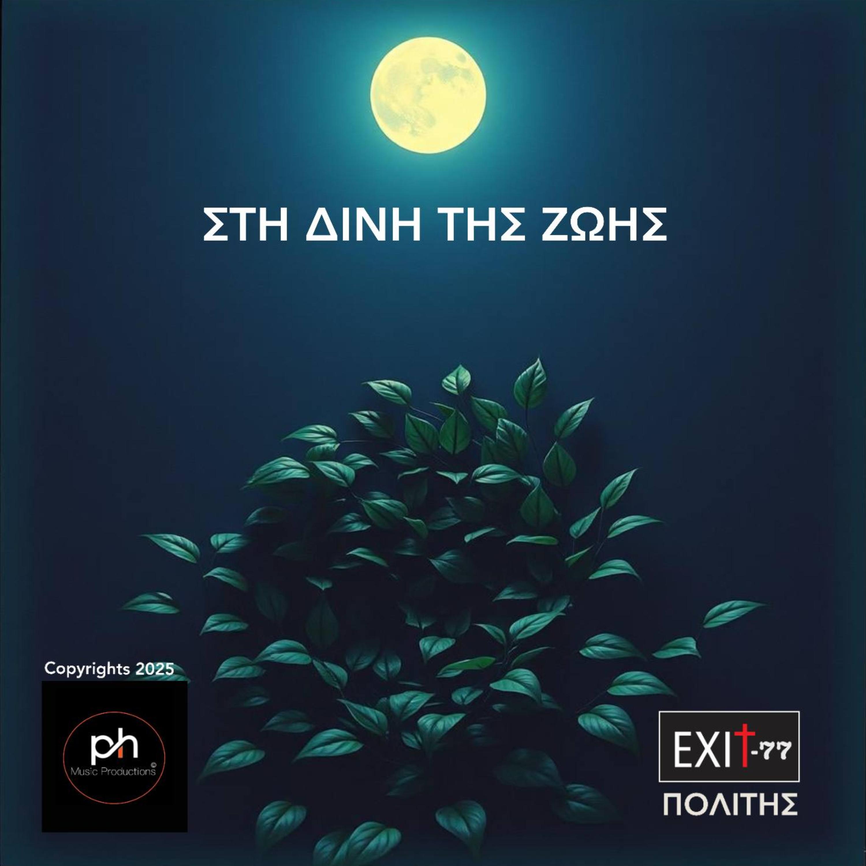 ΣΤΗ ΔΙΝΗ ΤΗΣ ΖΩΗΣ artwork