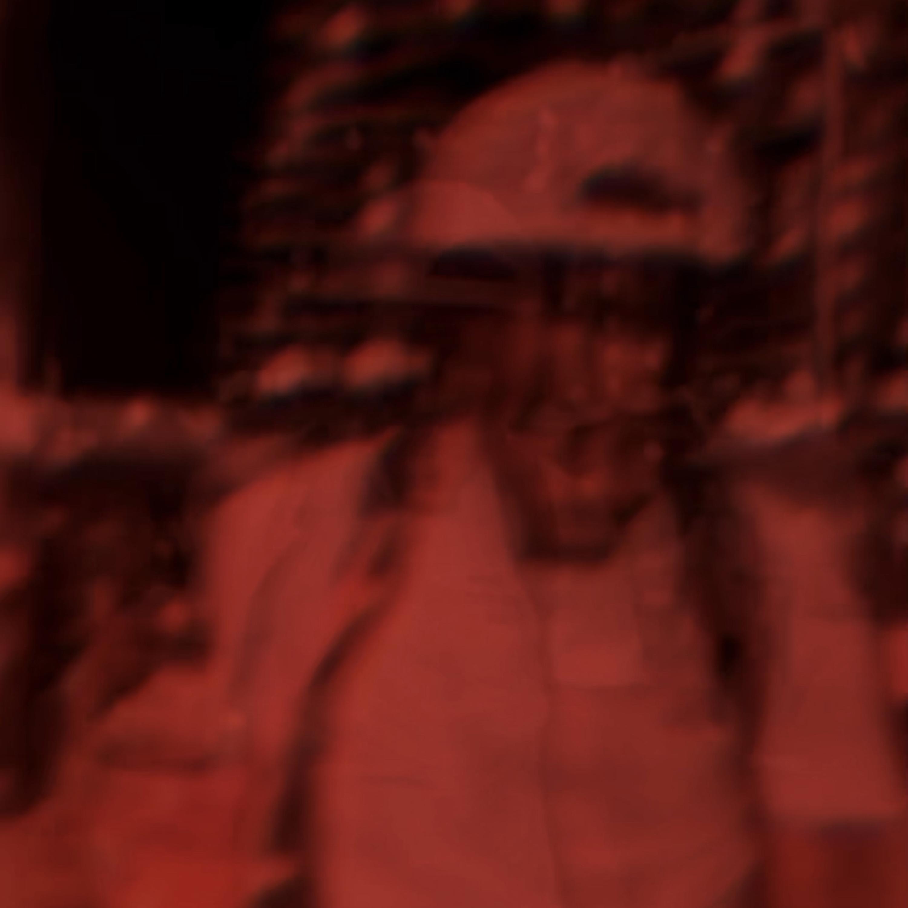 Delusions artwork
