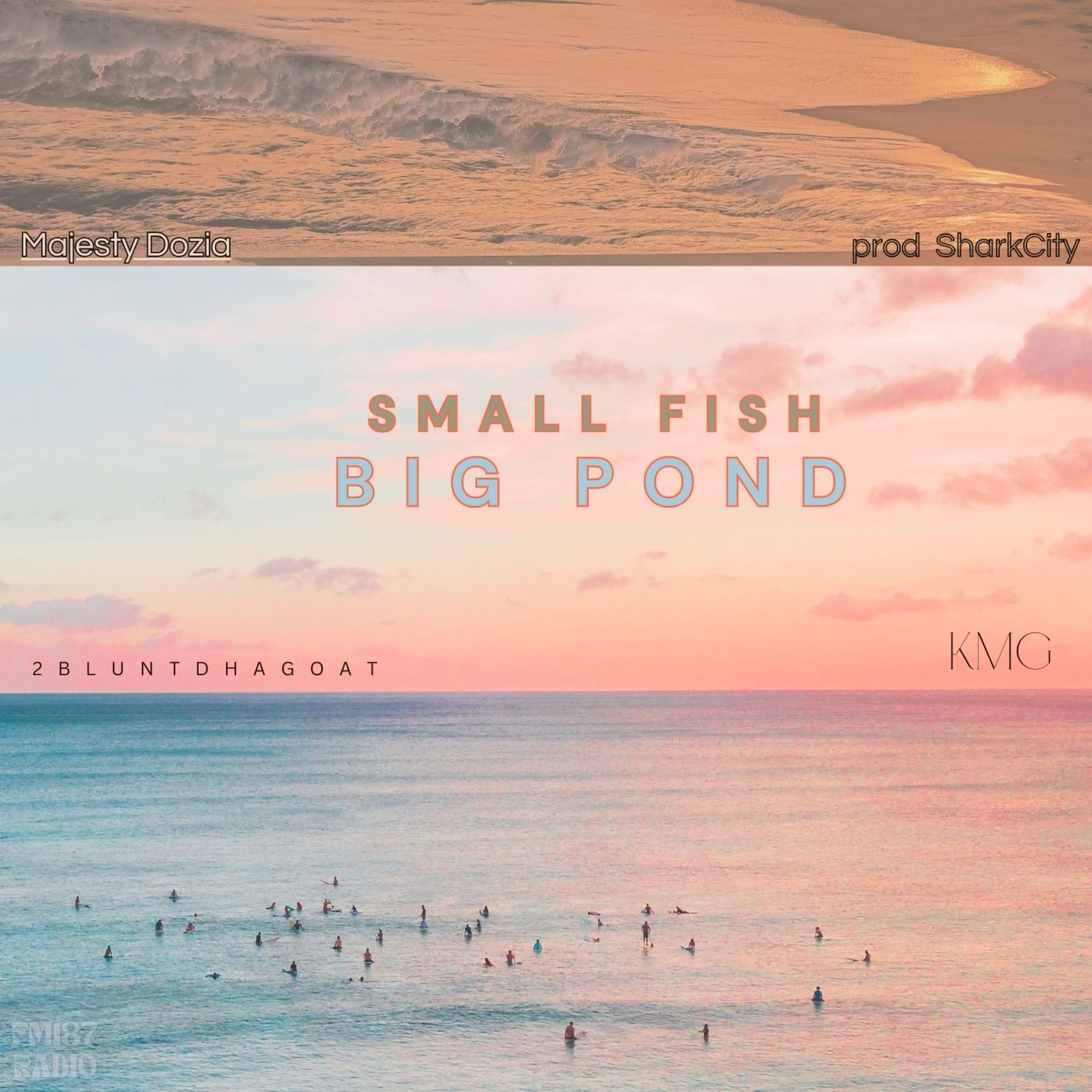 Small Fish Big Pond artwork