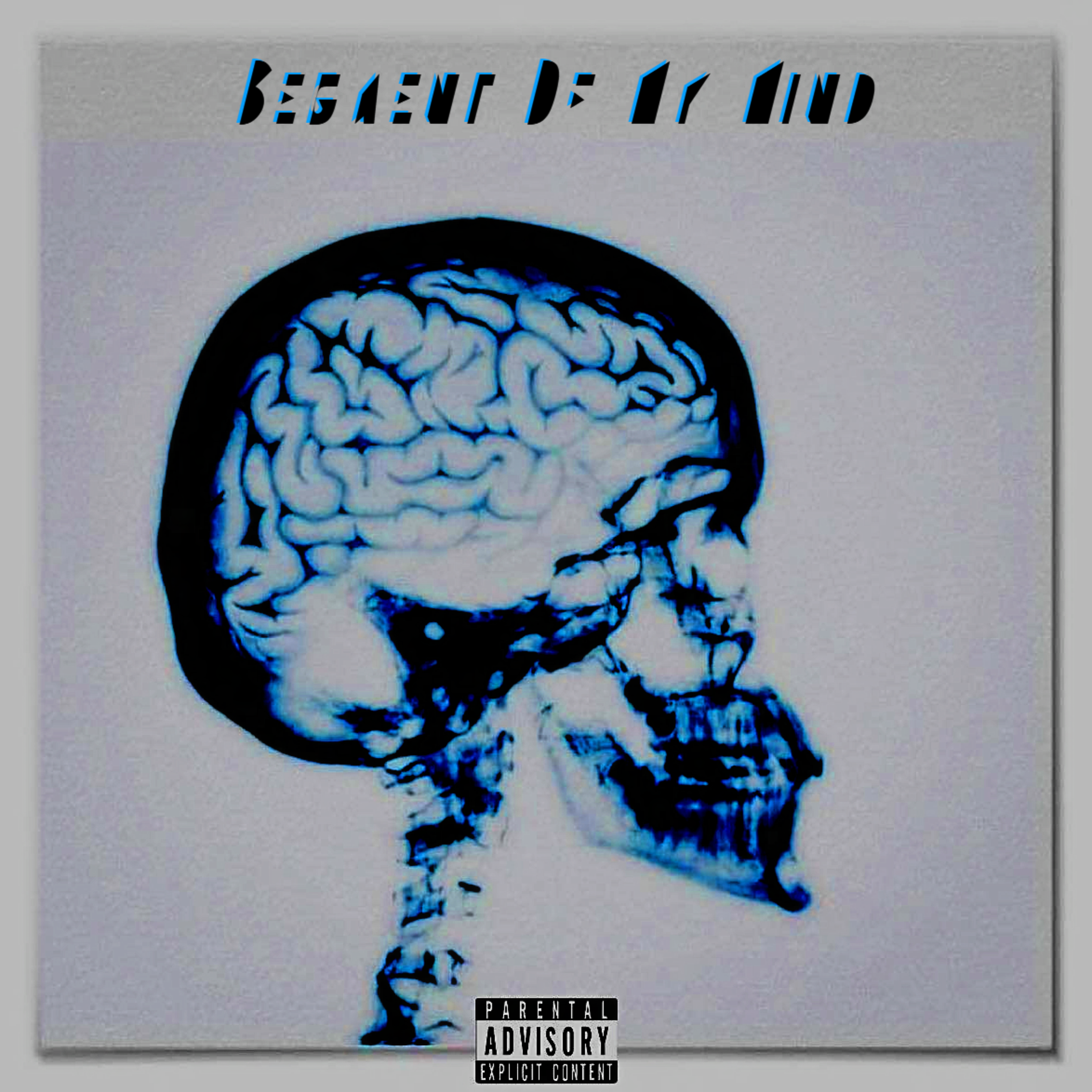 Segment Of My Mind artwork