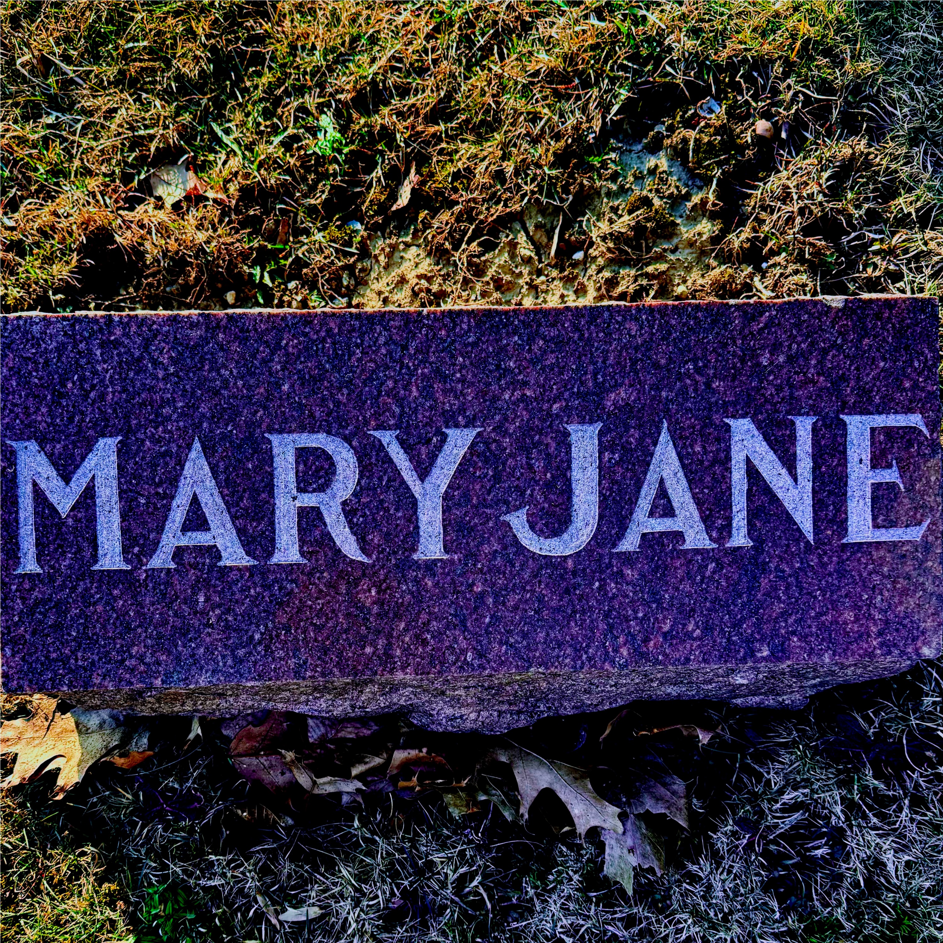 Mary Jane artwork