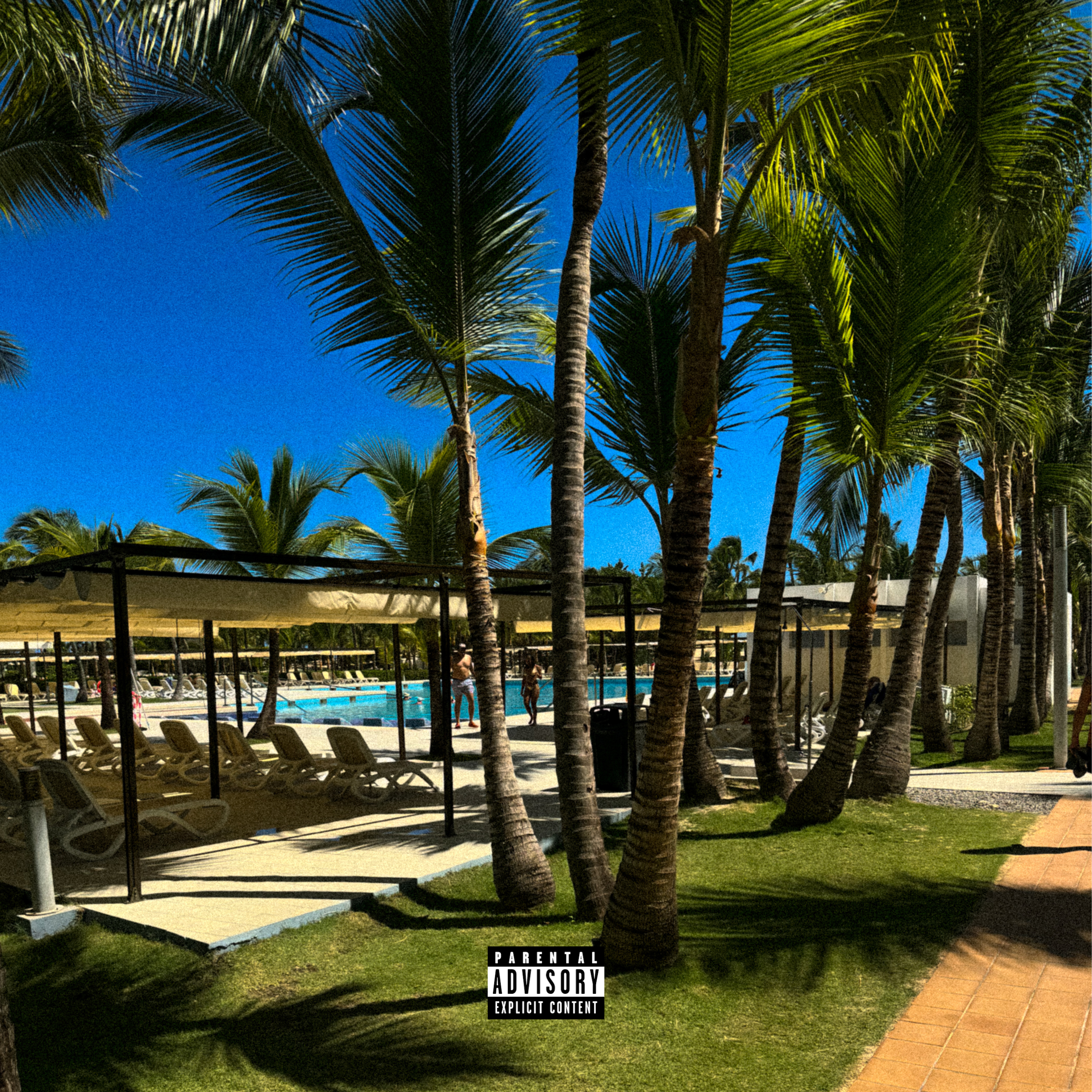 North Coast artwork