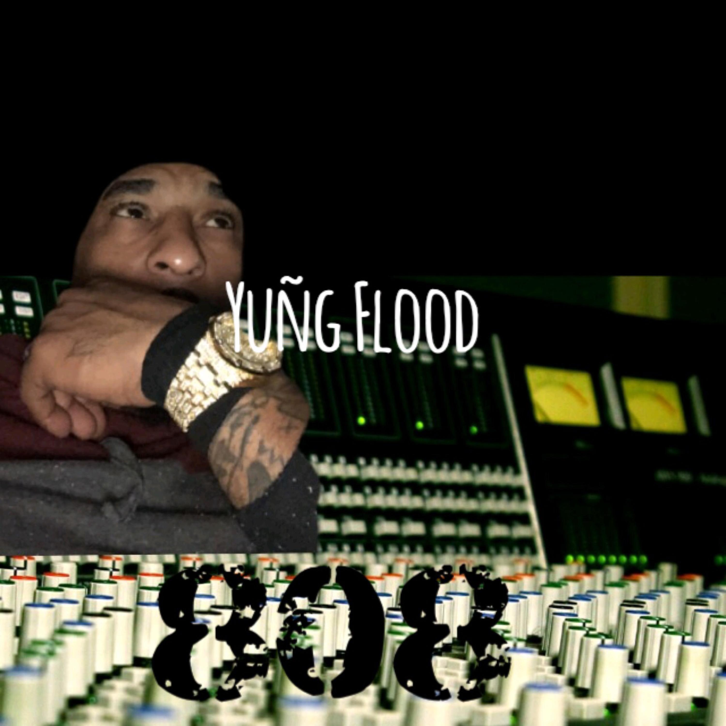 808 artwork