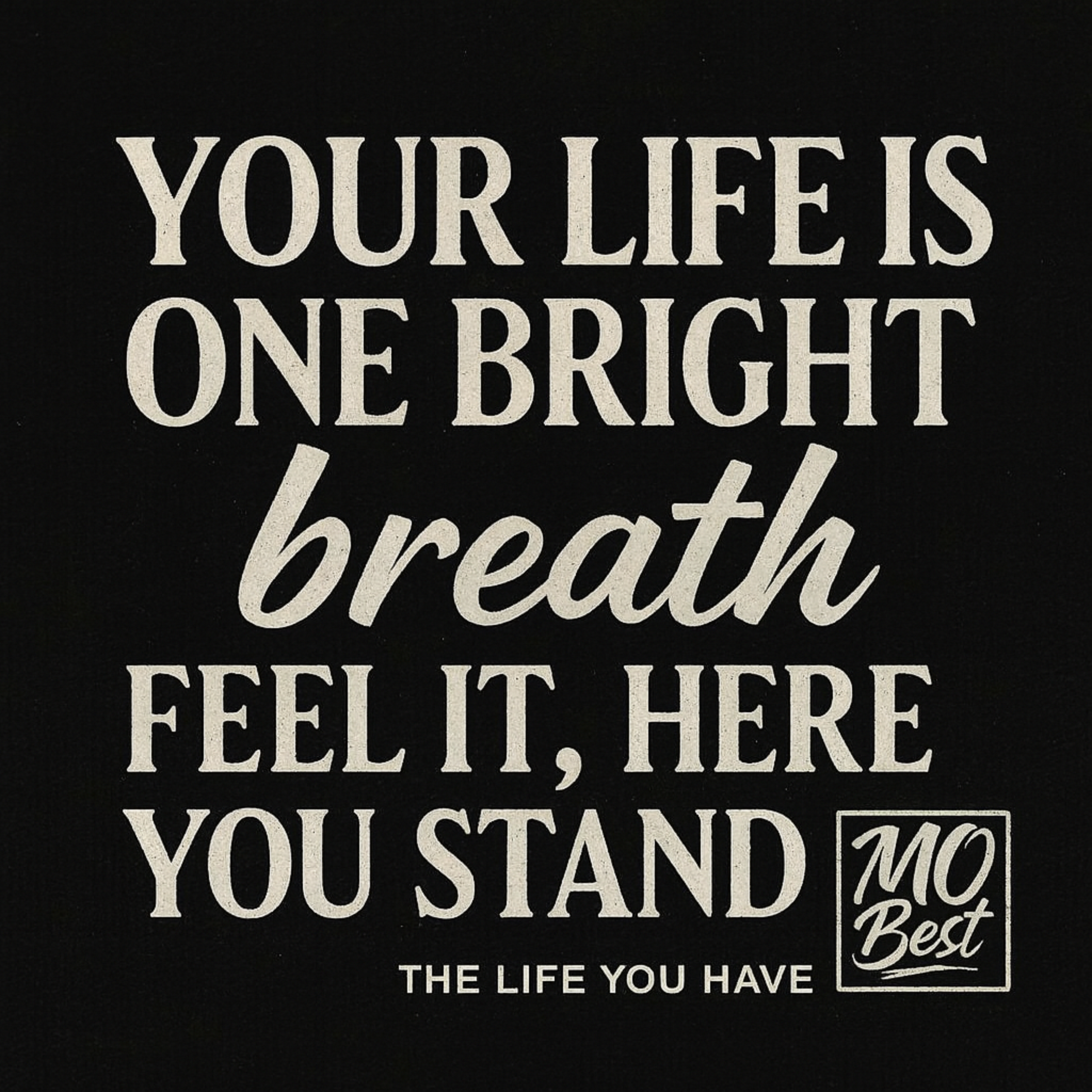 The Life You Have artwork