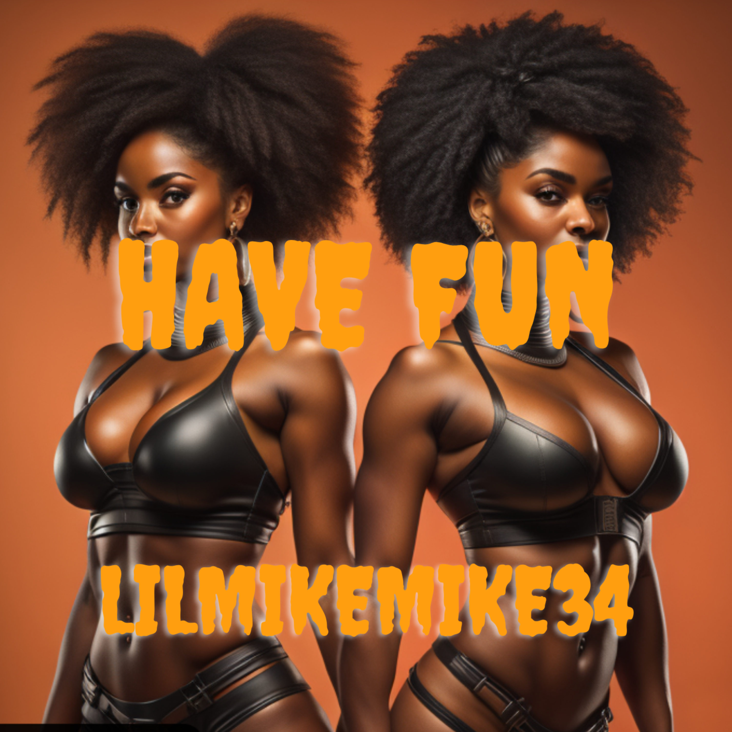 Have Fun artwork