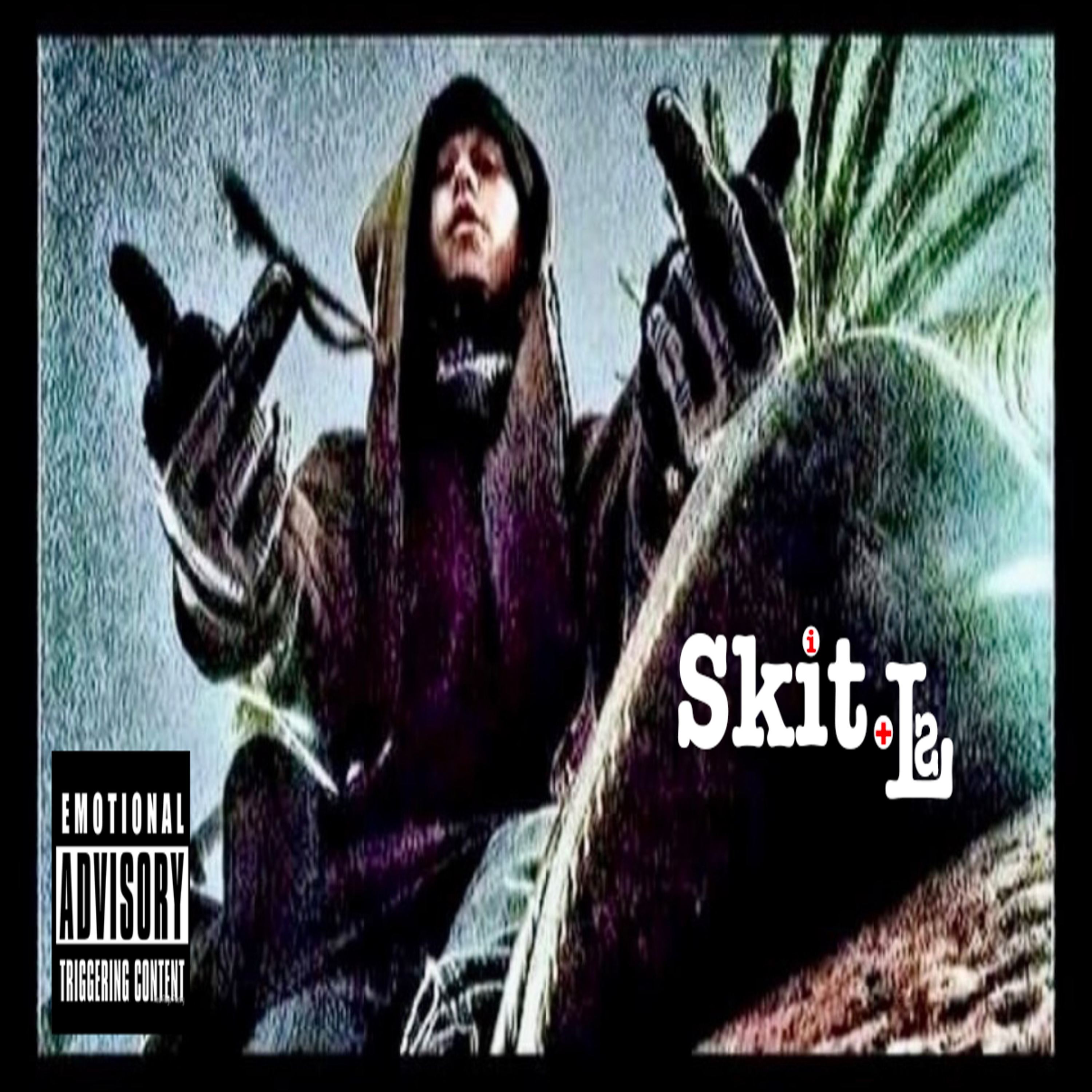 Des•pu•nate Like-Co•vo•vince by Skit Ls cover art