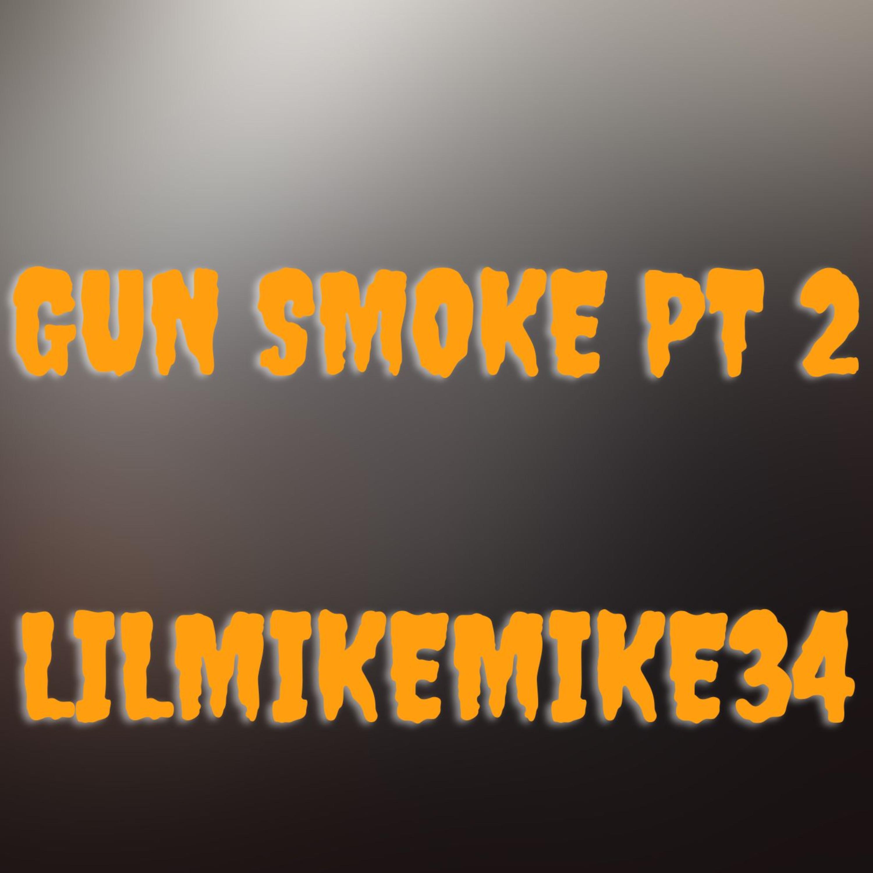 Gun Smoke Pt 2 artwork