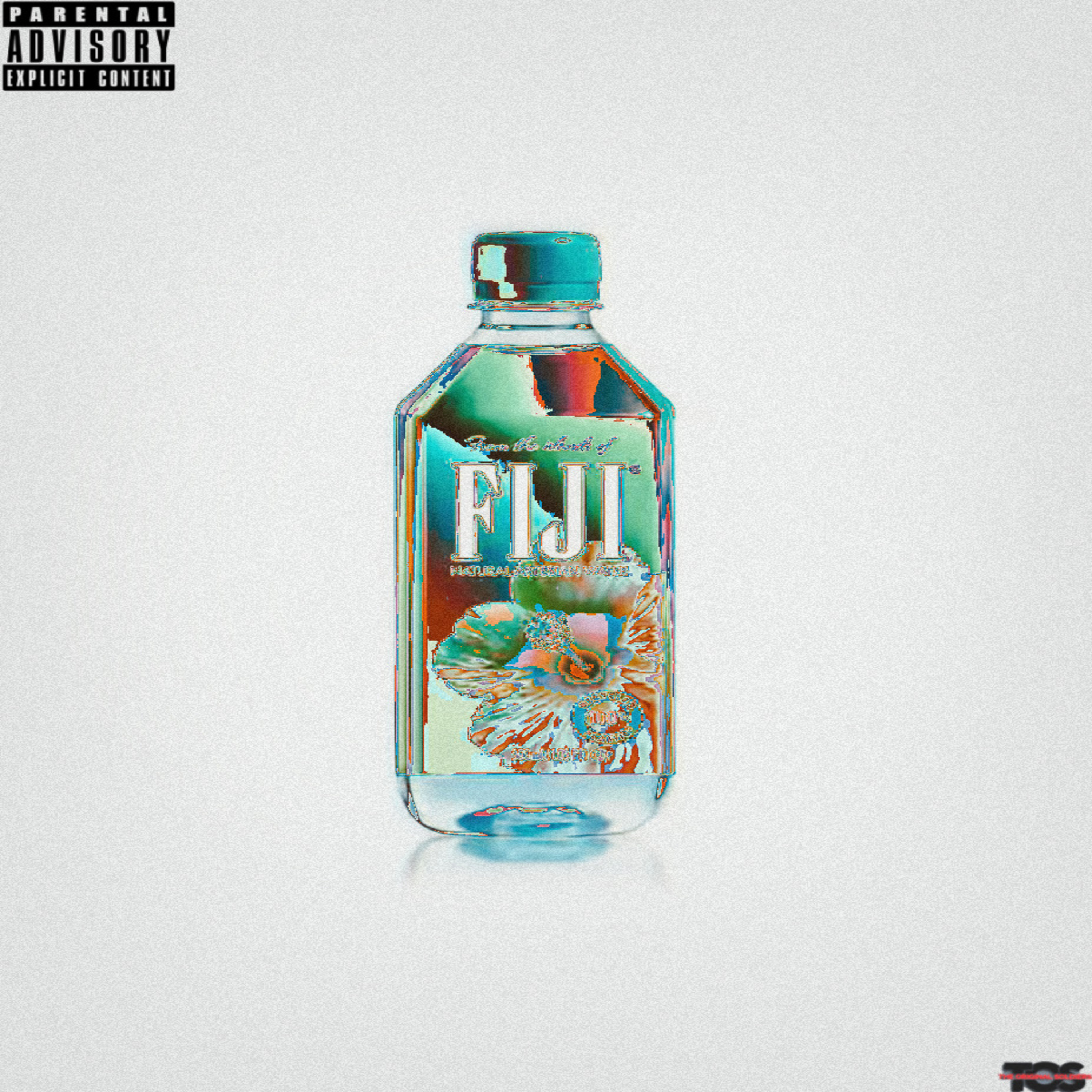 Fiji Water artwork