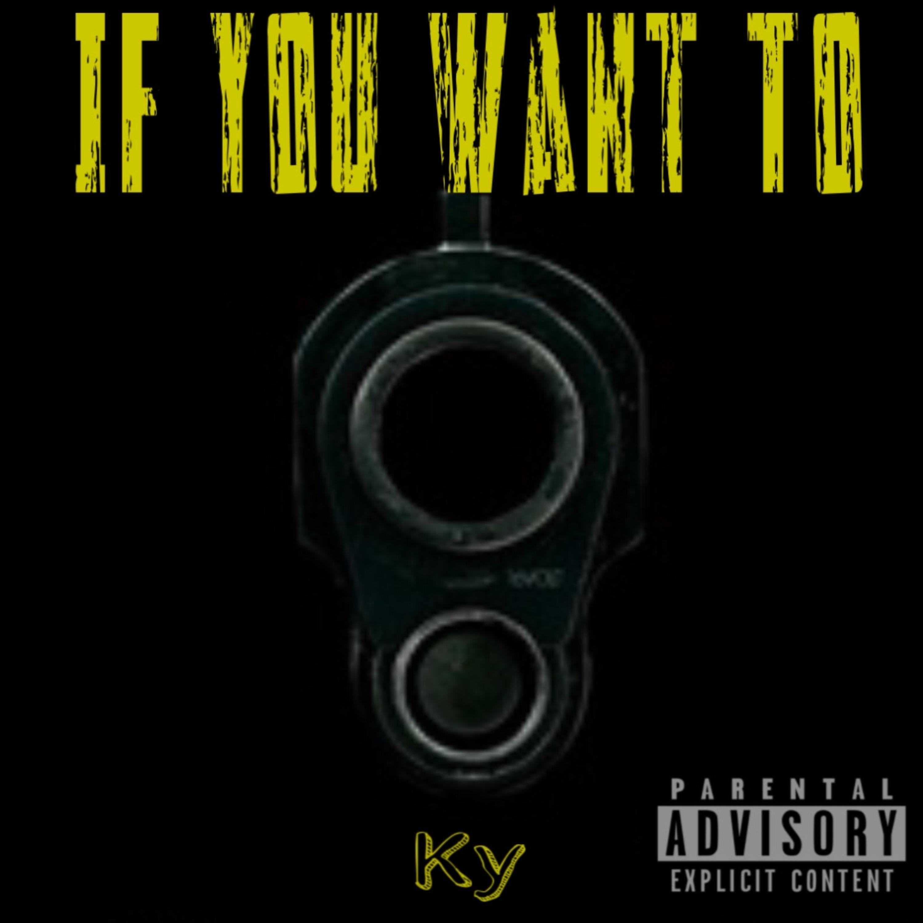 If You Want To artwork