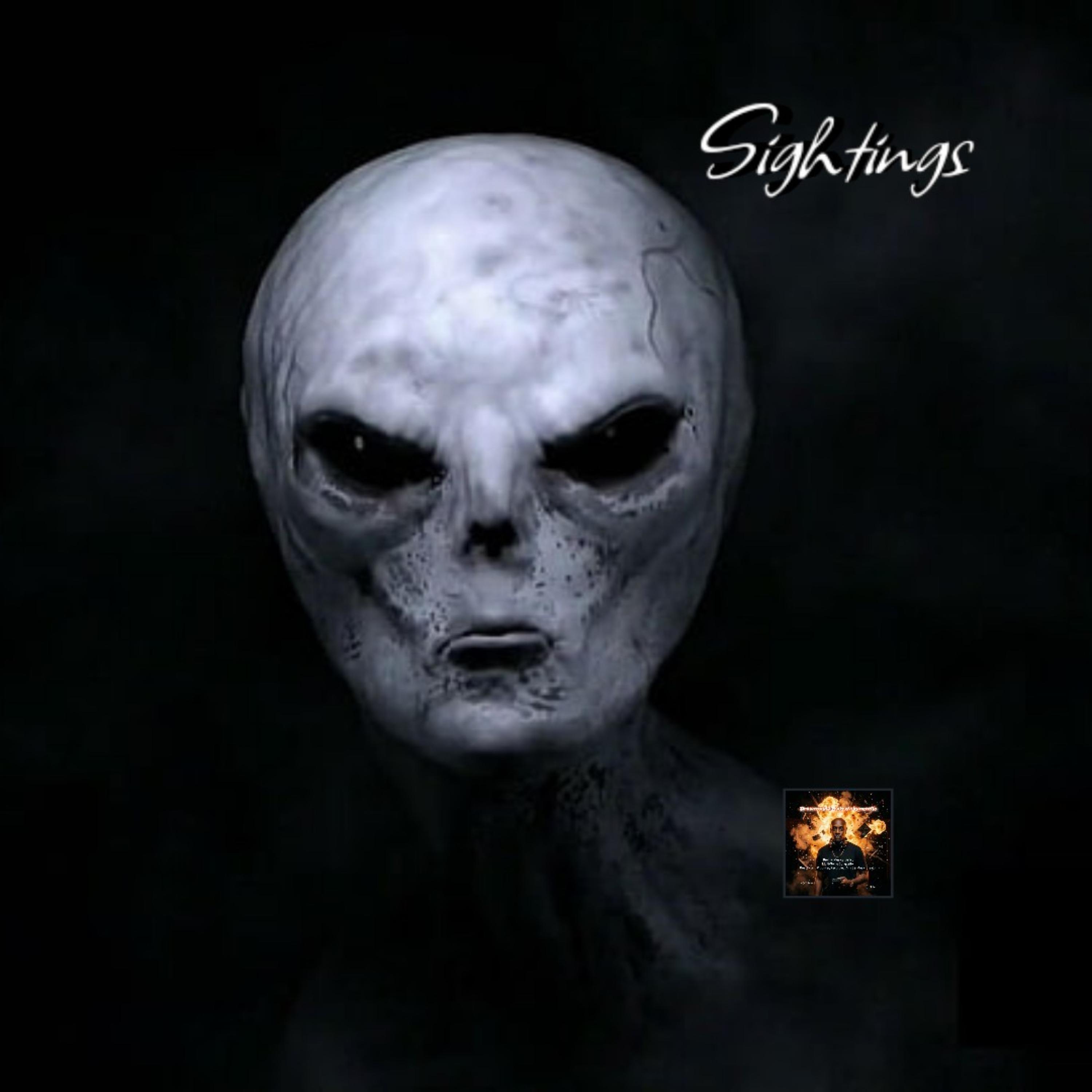 Sightings by Brownsoul73 cover art