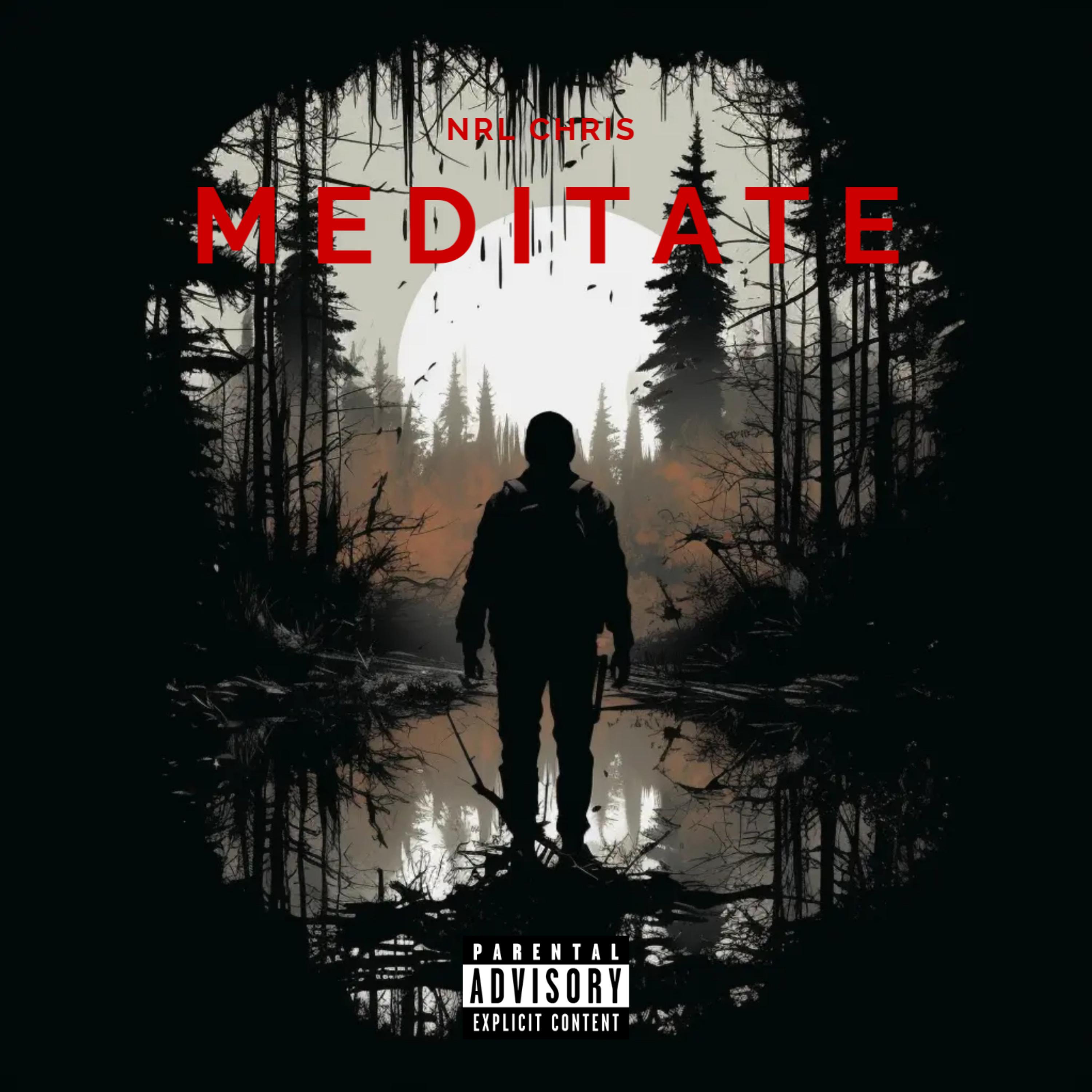 Meditate artwork