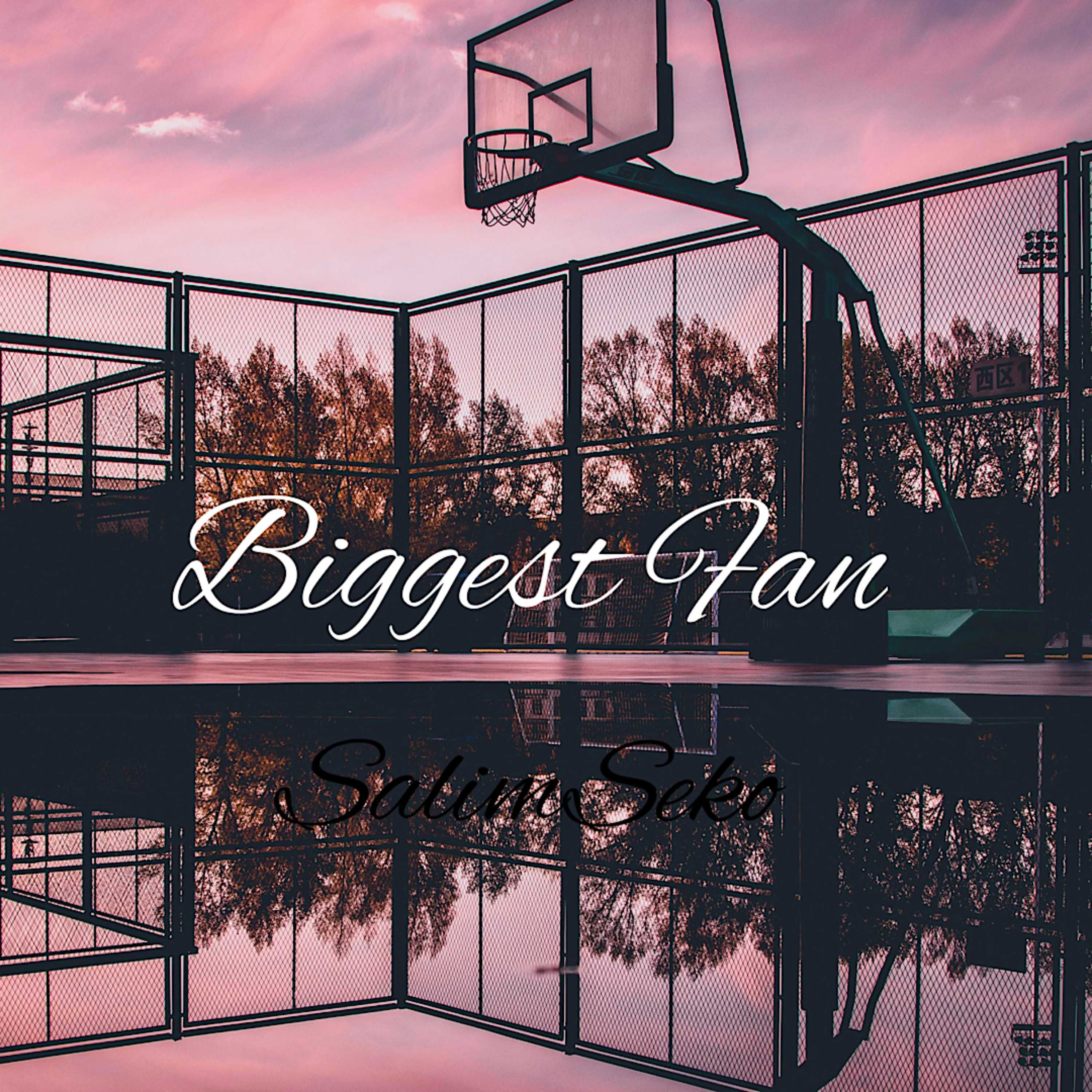 Biggest Fan artwork
