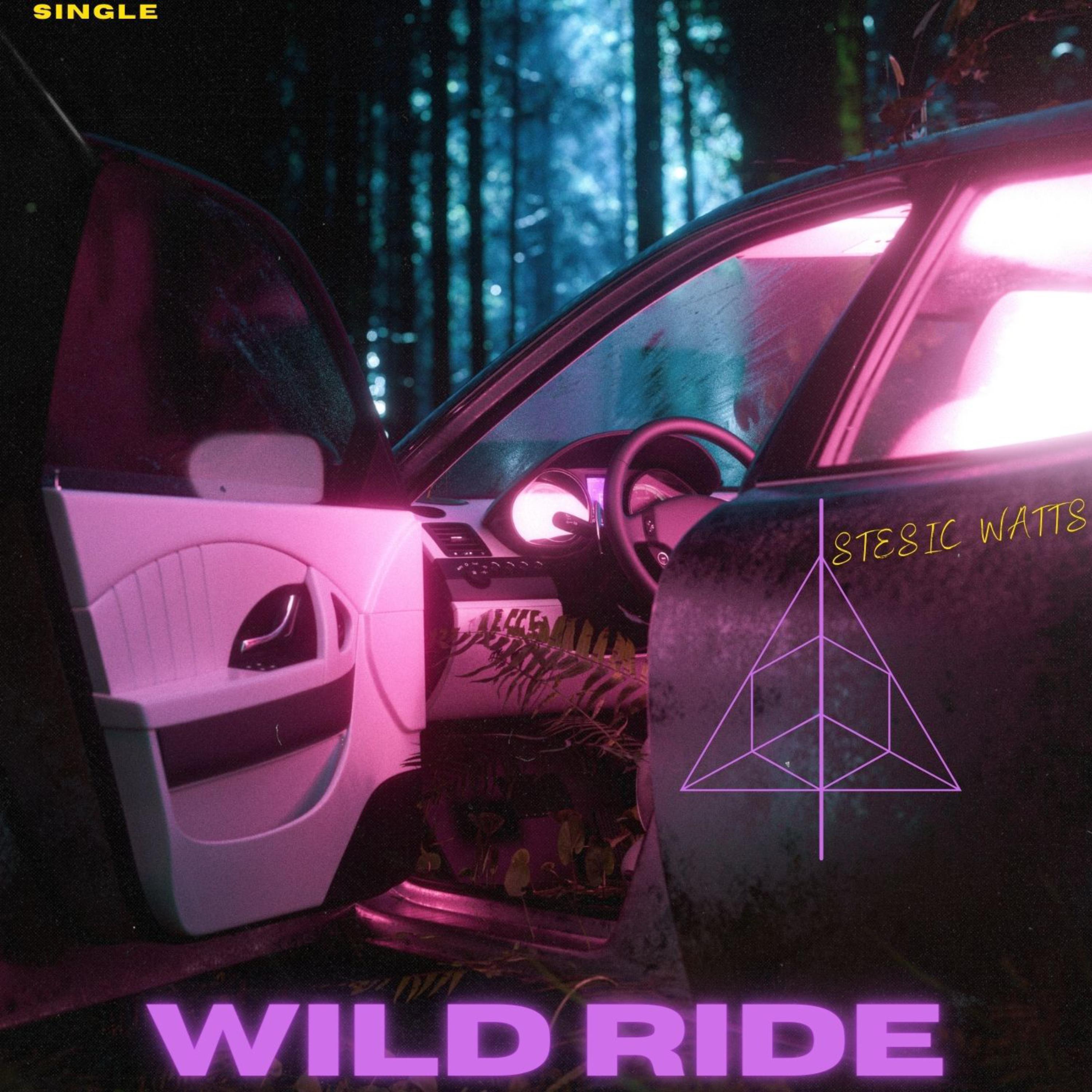 Wild Ride artwork