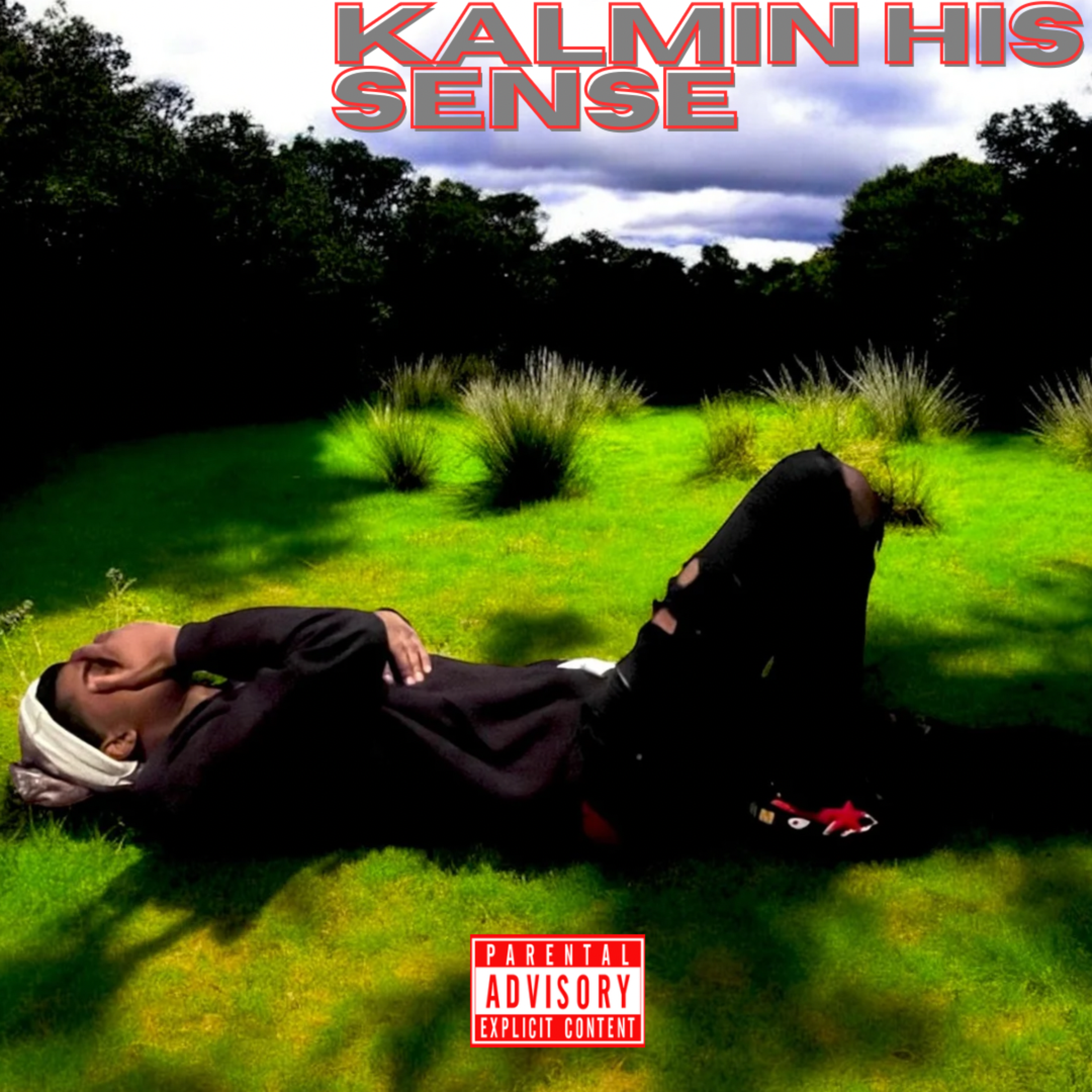Kalmin His Sense artwork