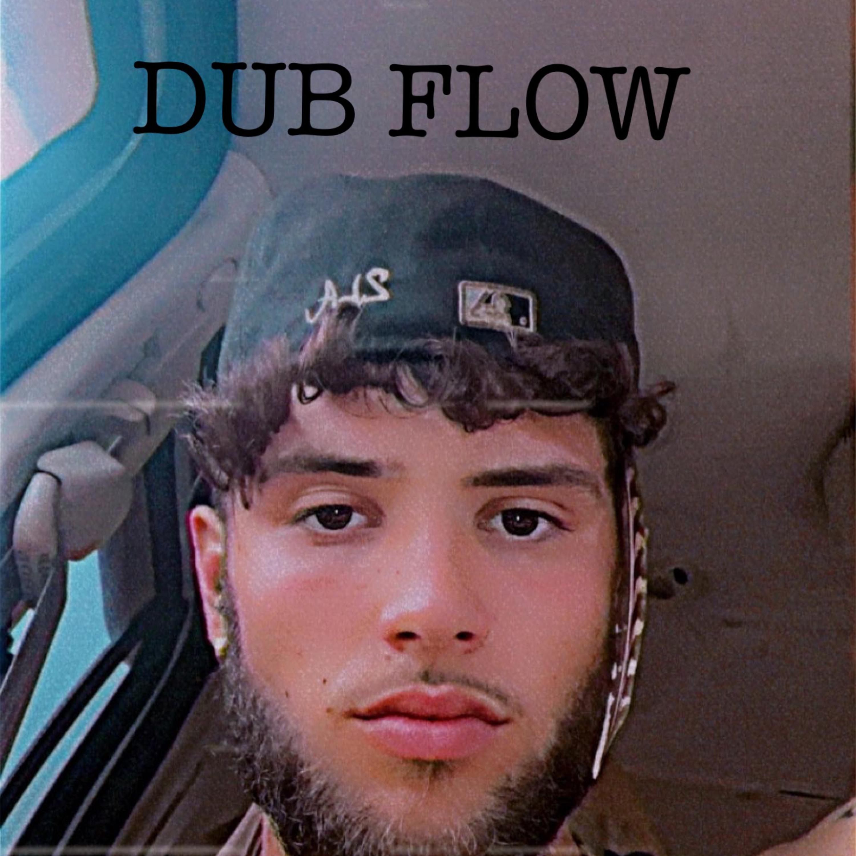 Dub Flow artwork
