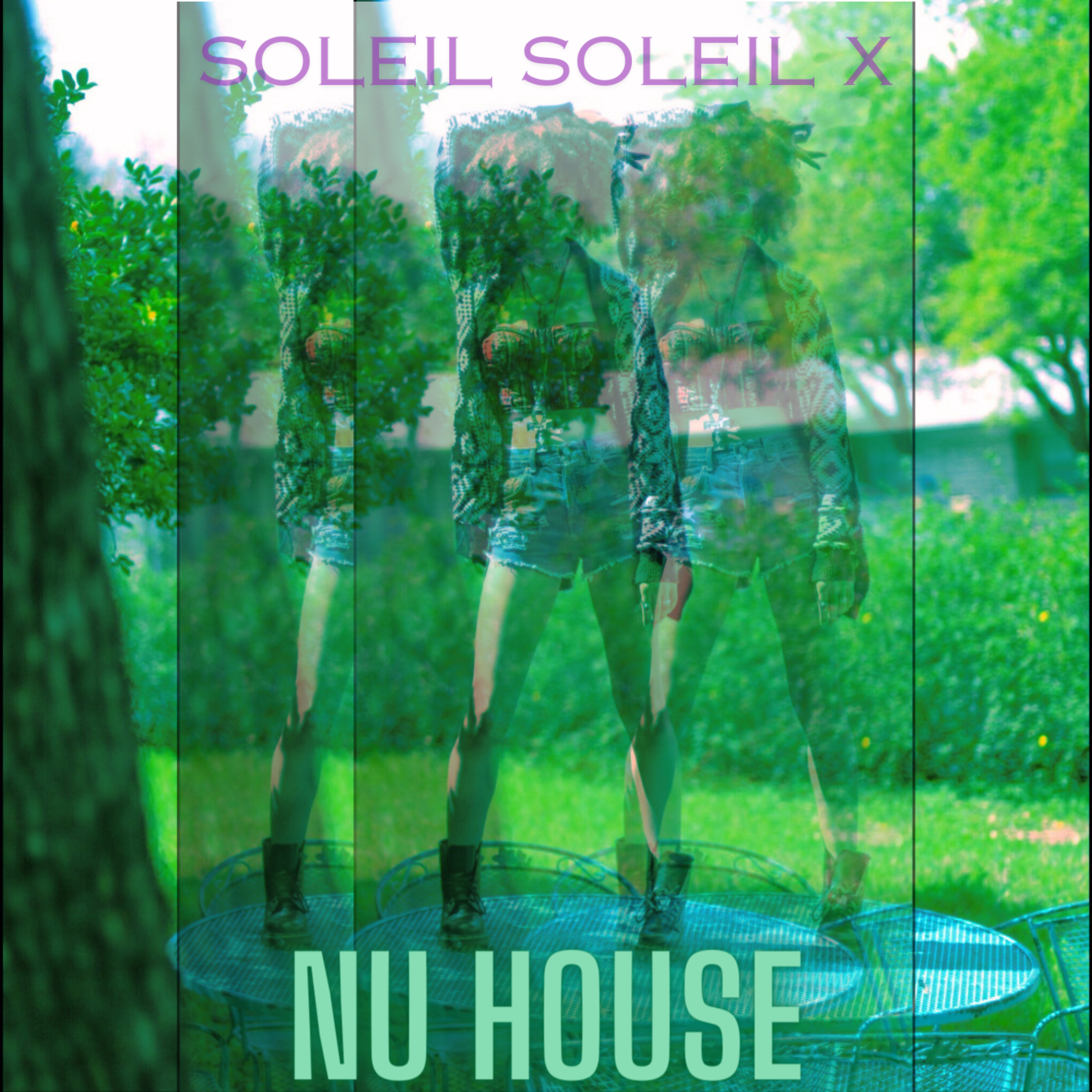 Nu House artwork