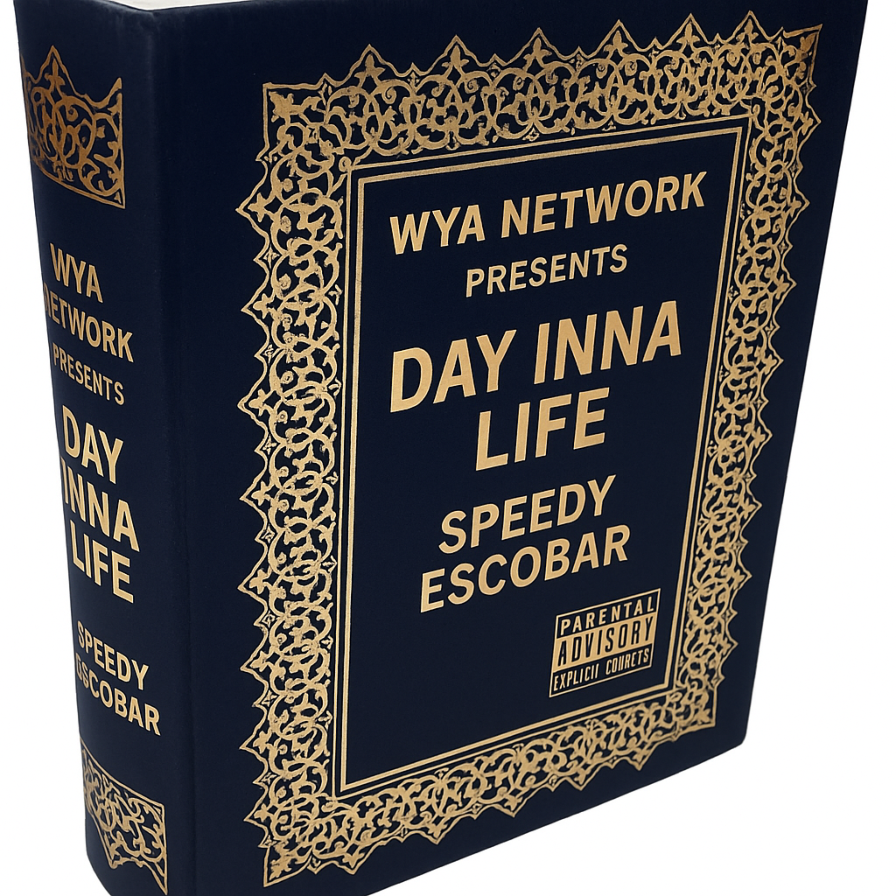 DAY INNA LIFE artwork