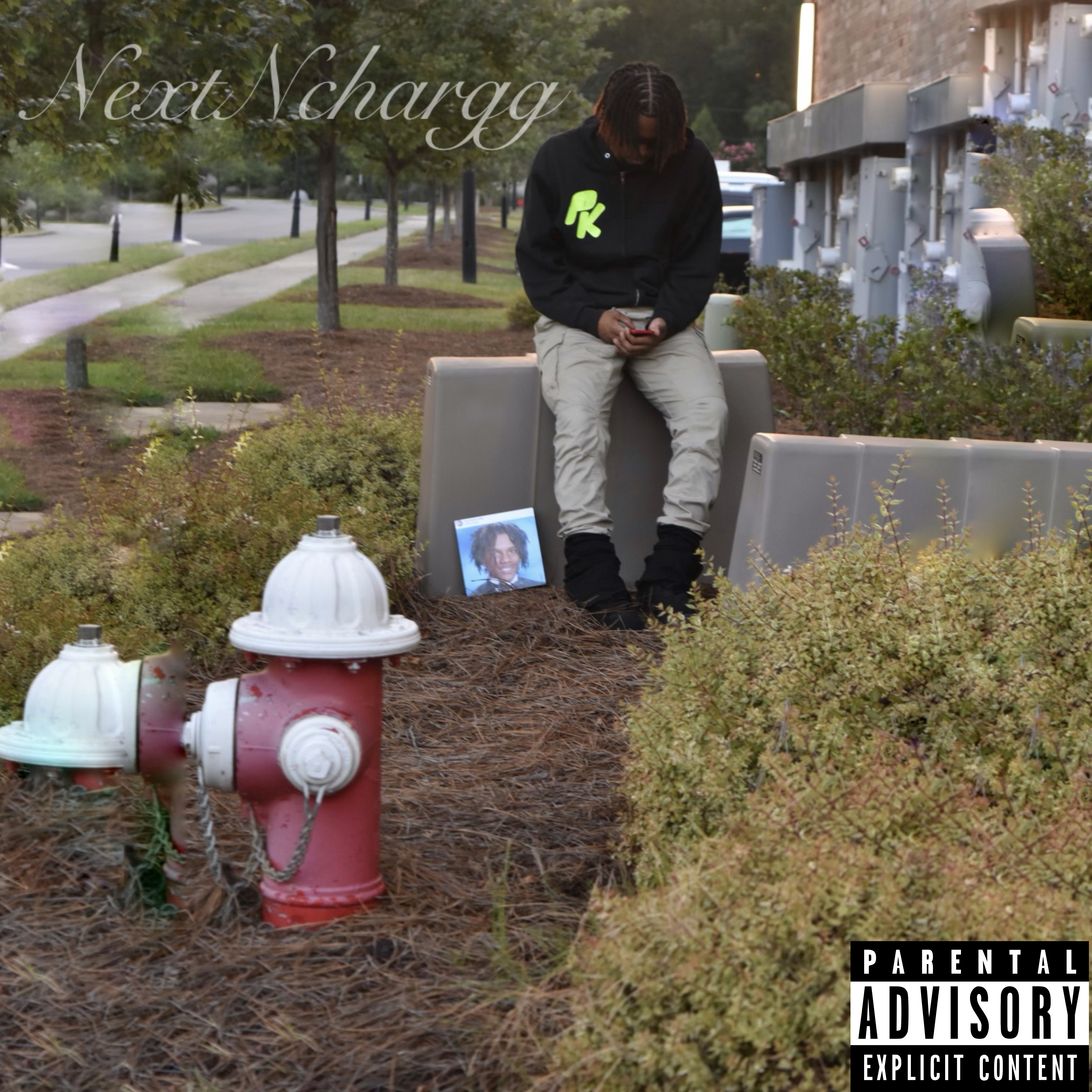 NextNchargg artwork