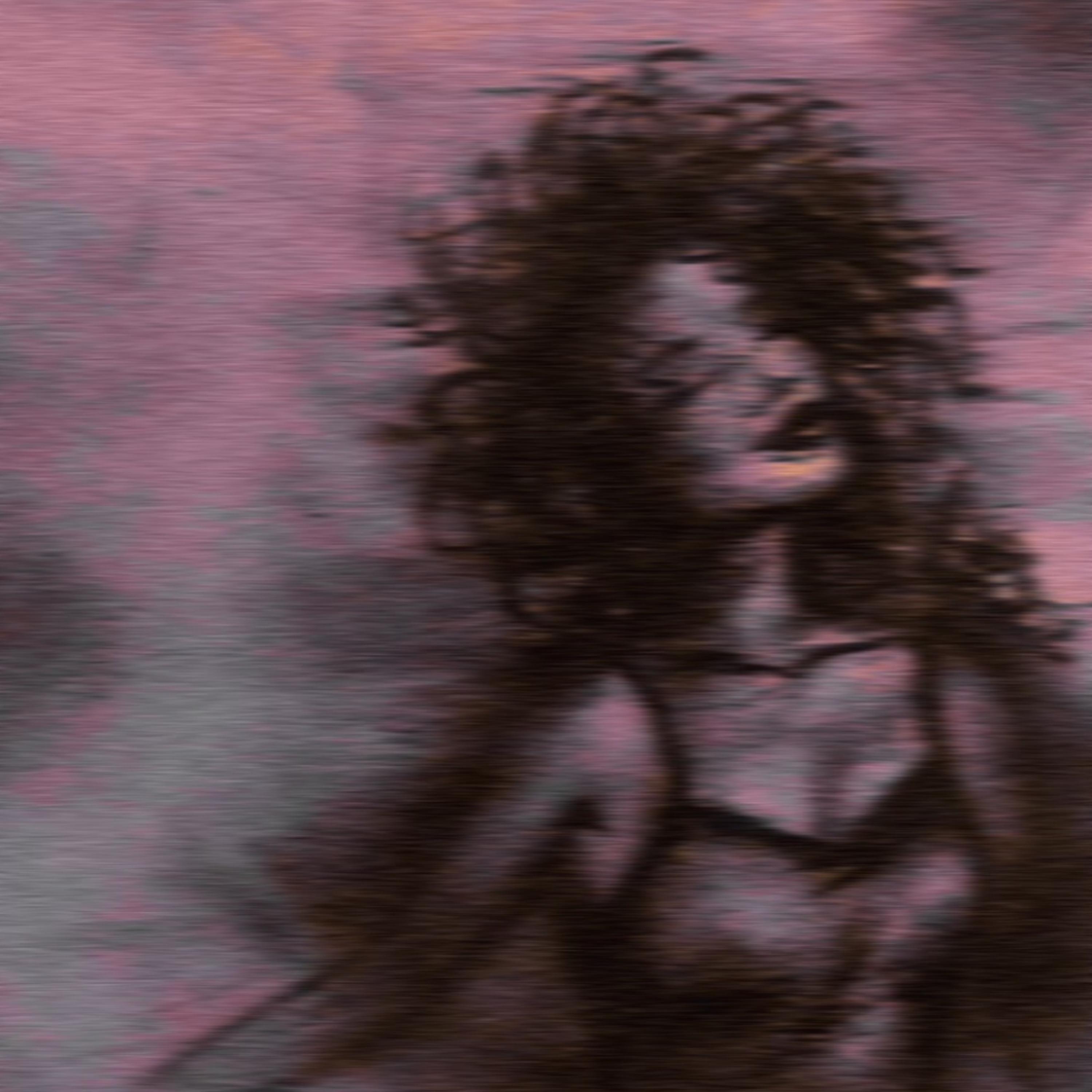 She Likes To Dance artwork