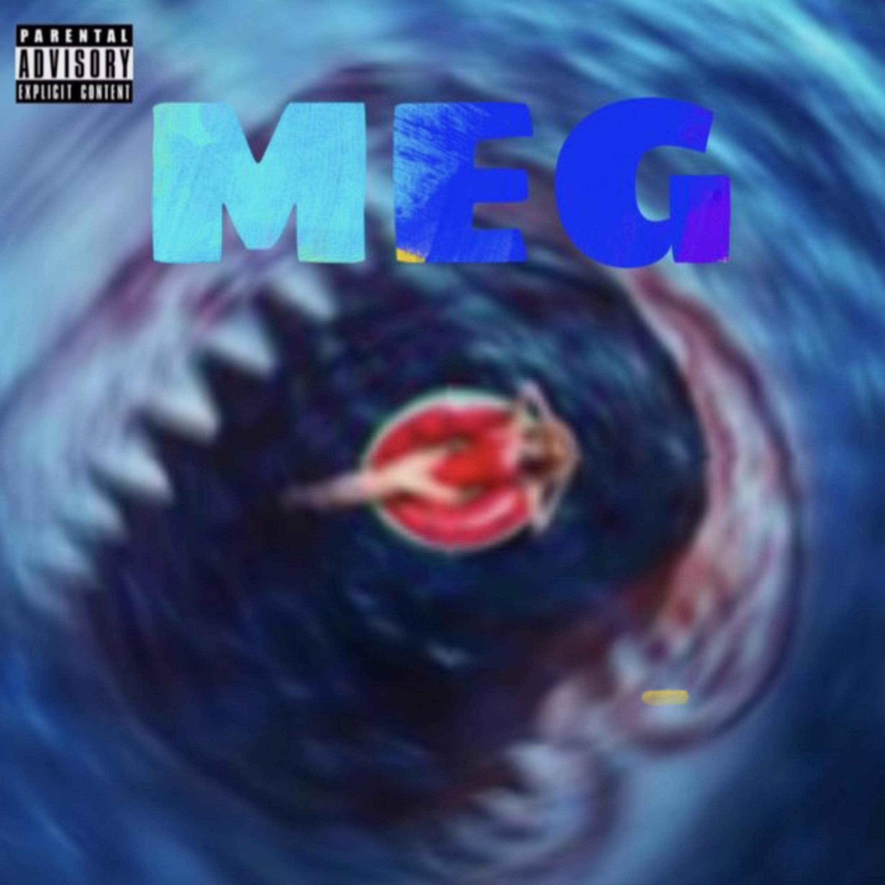 MEG artwork