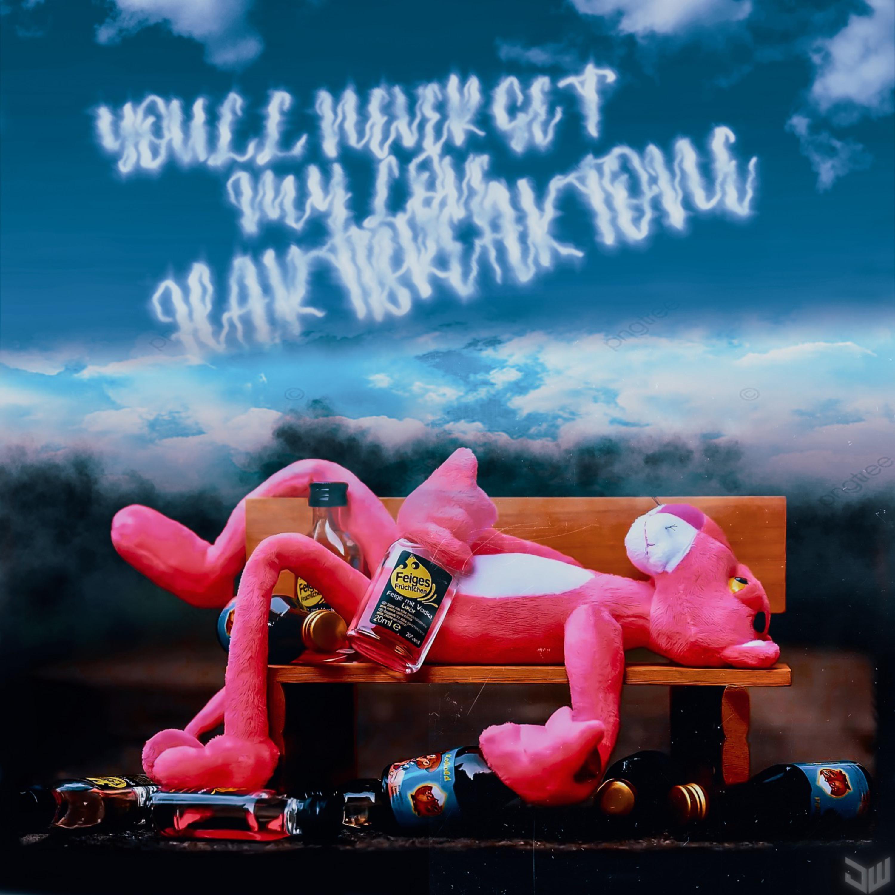 You'll Never Get My Love artwork