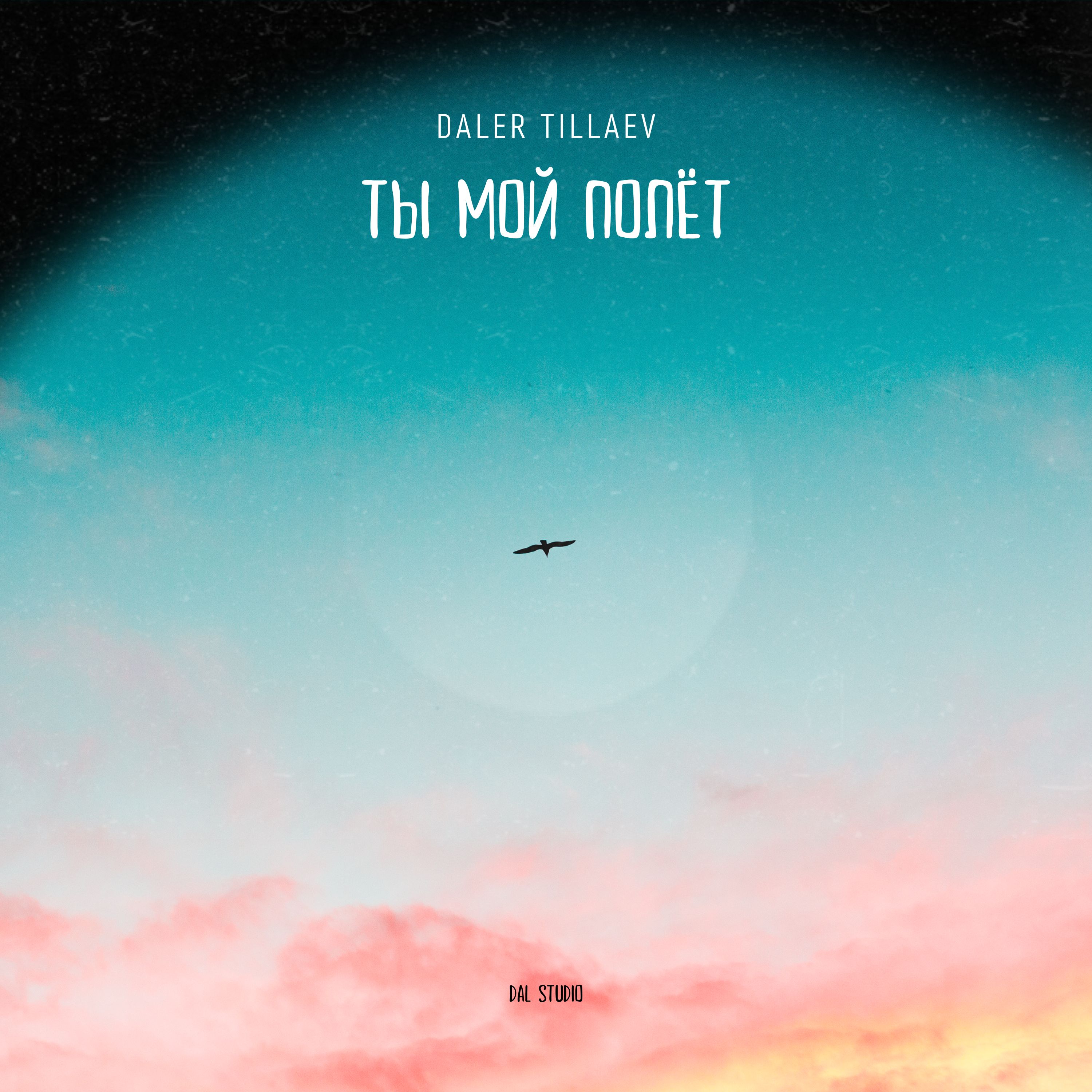 Ты мой полёт artwork