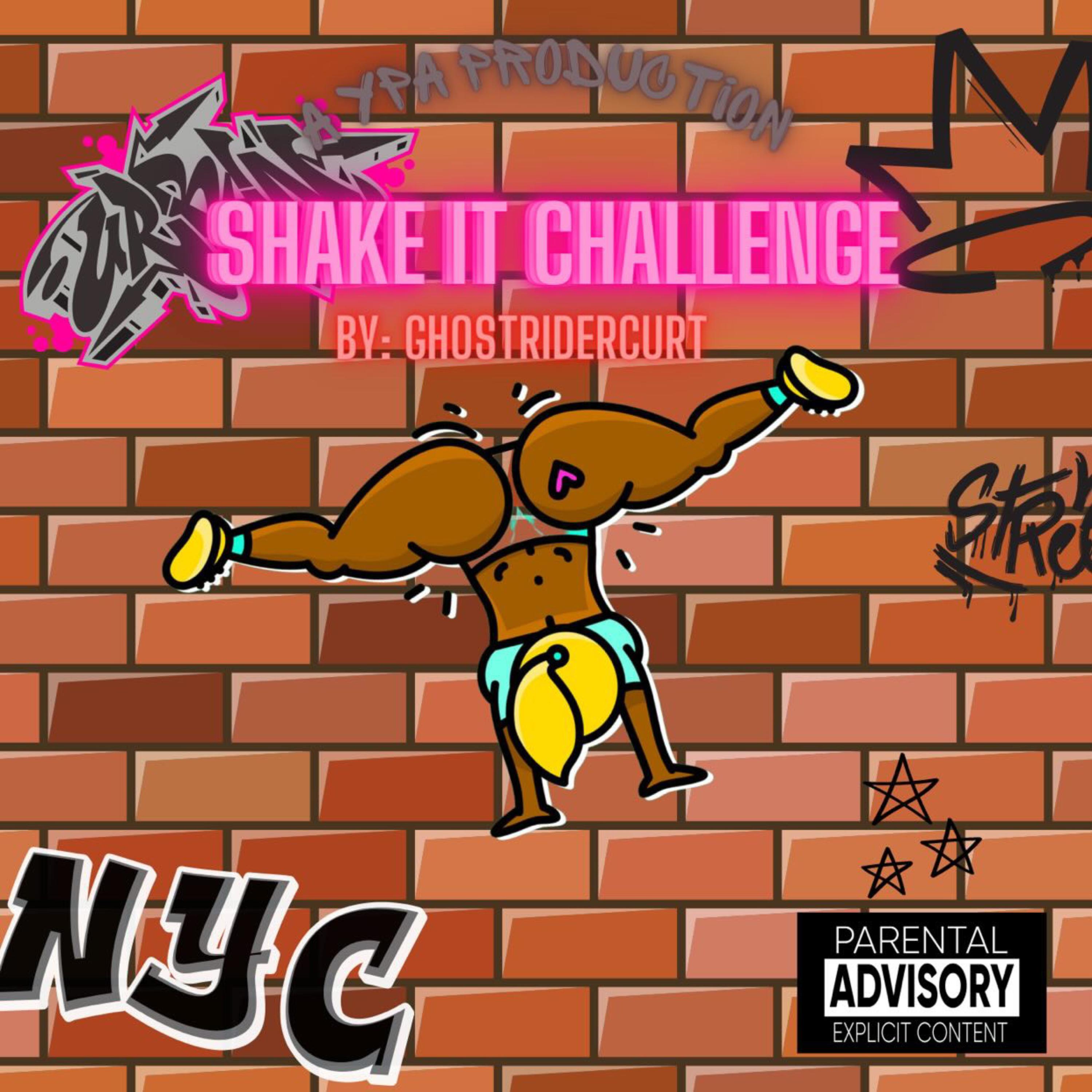 Shake It Challenge artwork