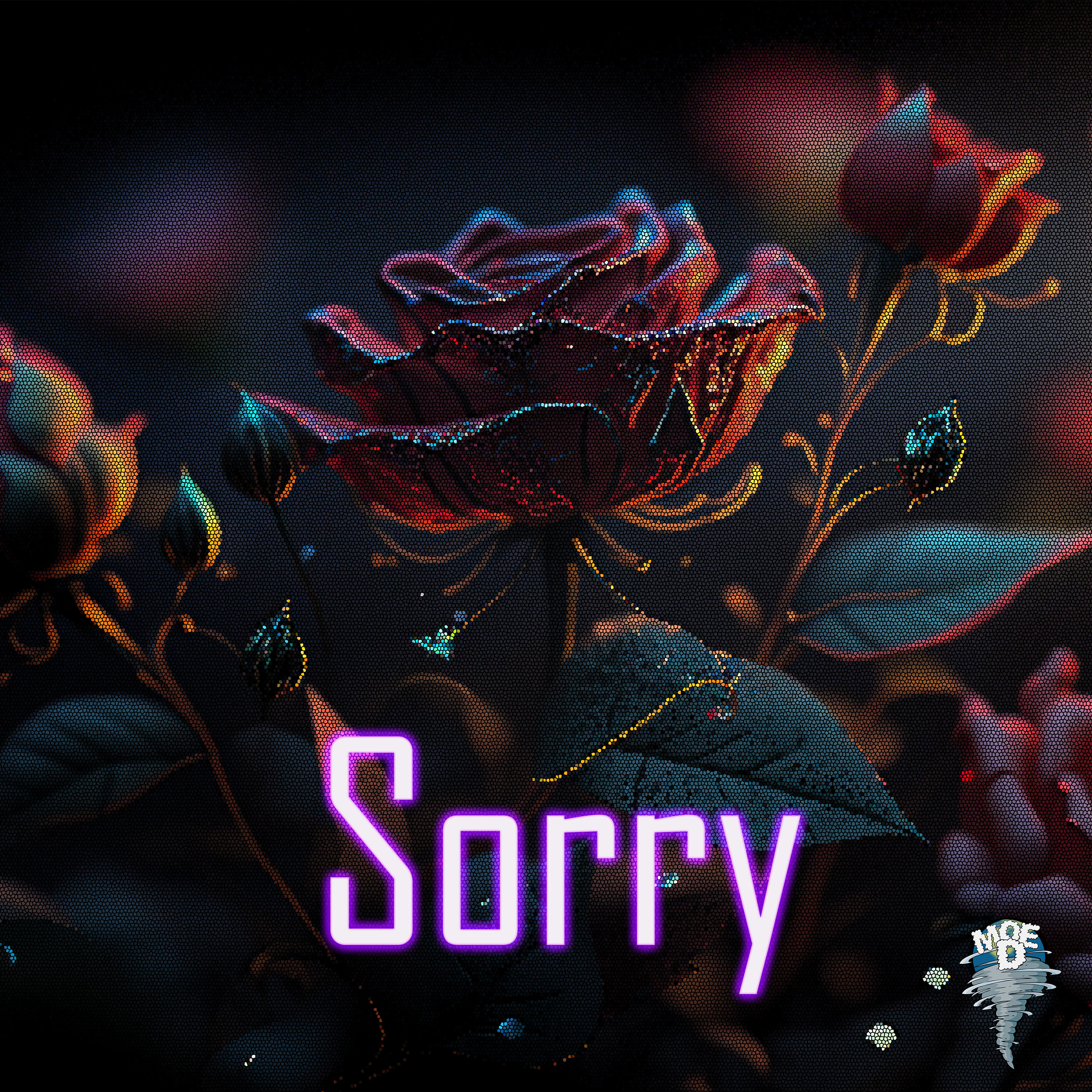 Sorry artwork