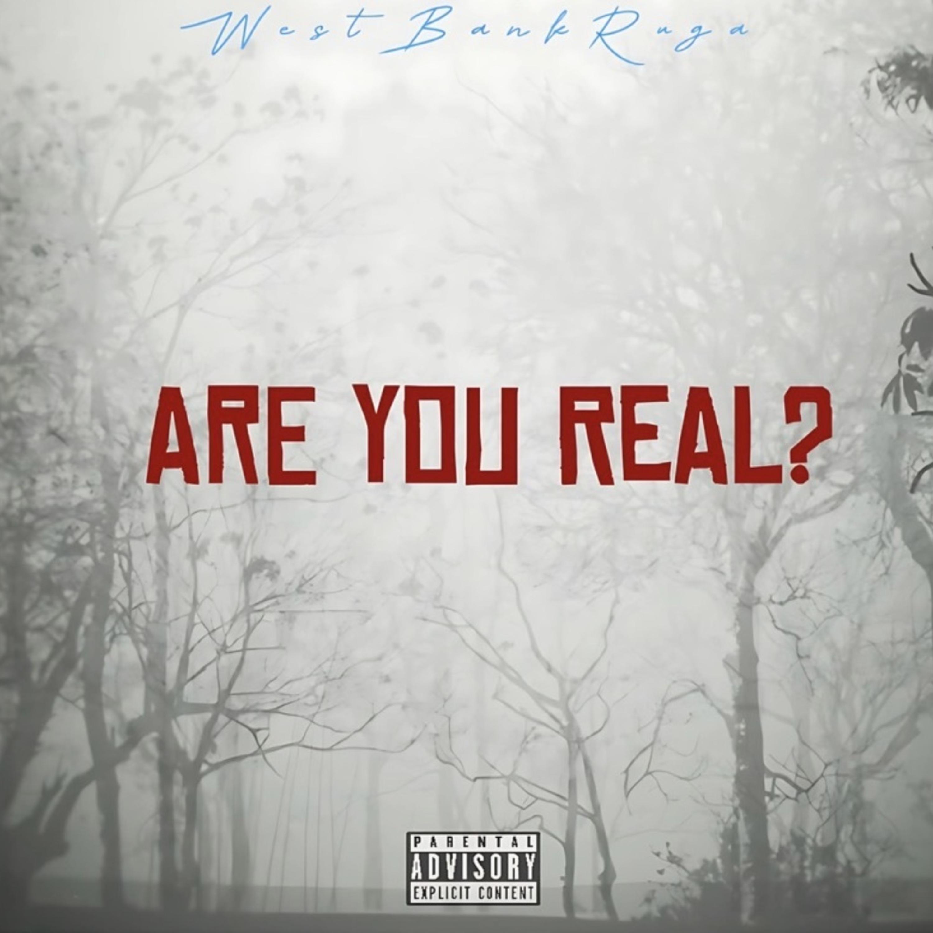 Are You Real? artwork