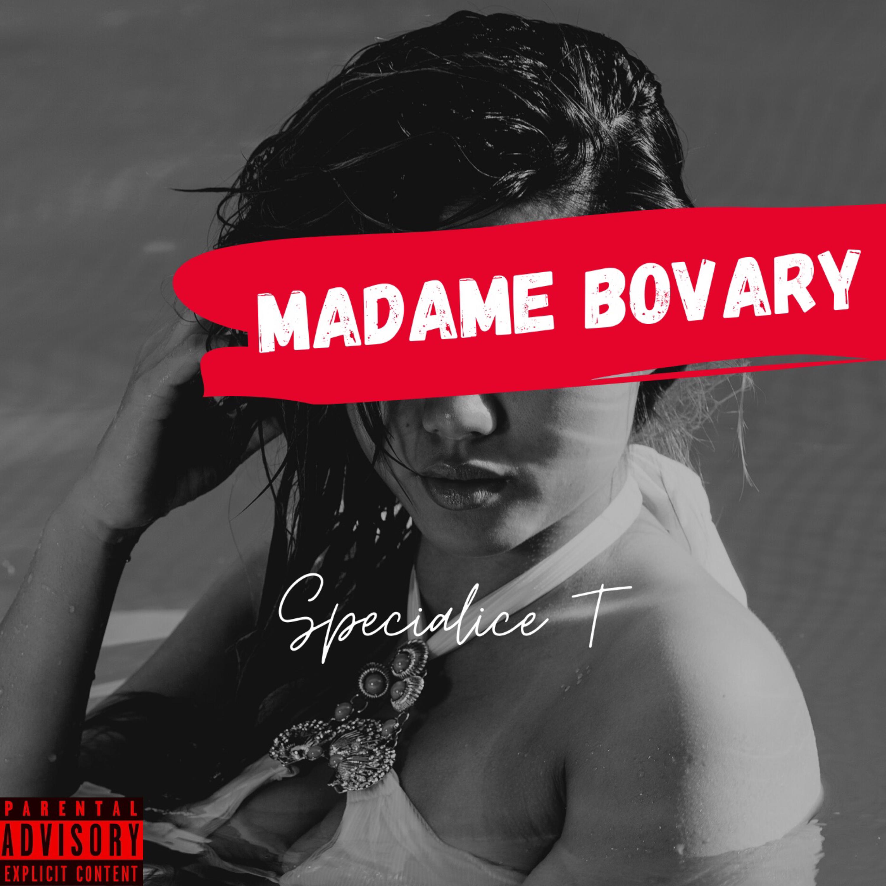 Madame Bovary artwork