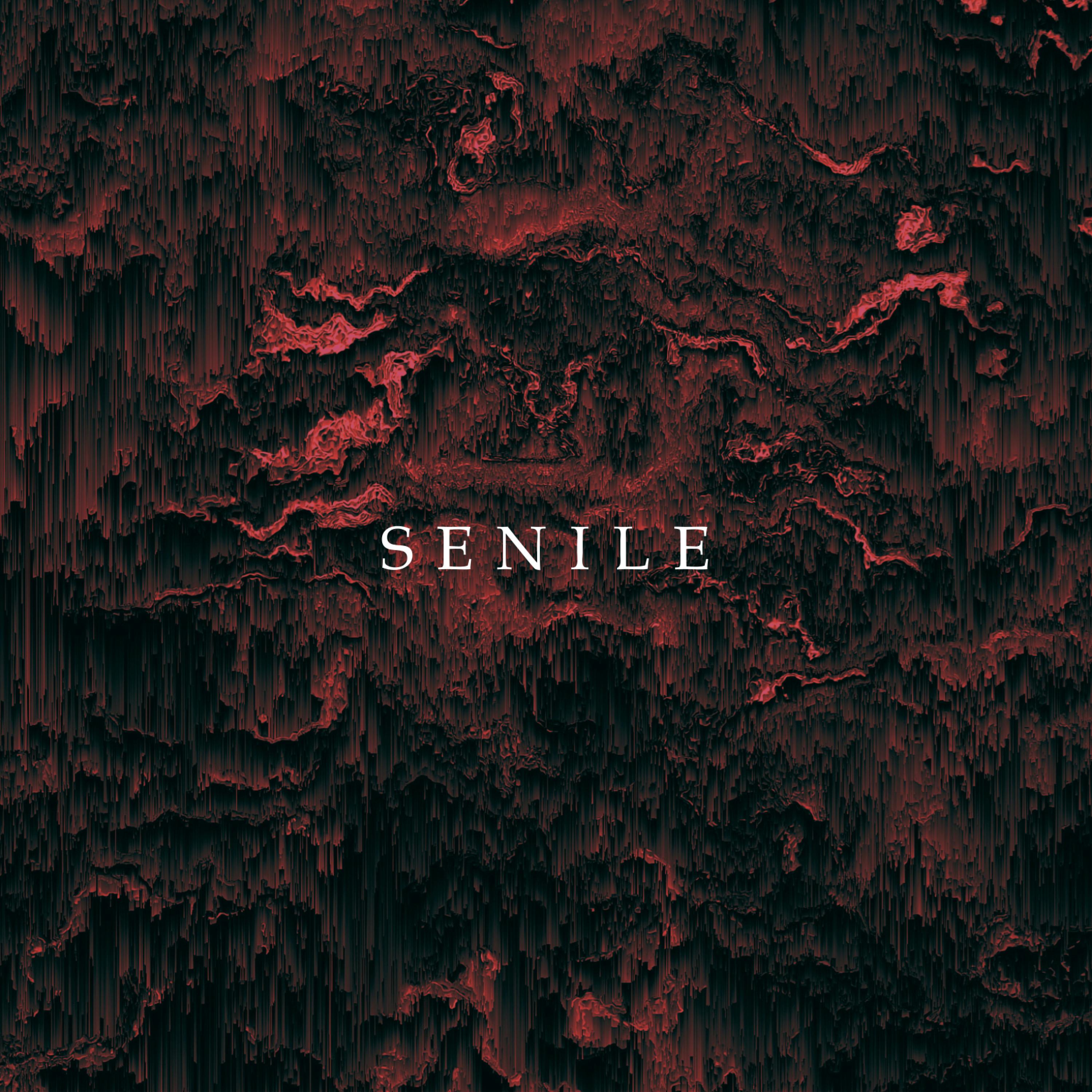 Senile by Anweezy cover art