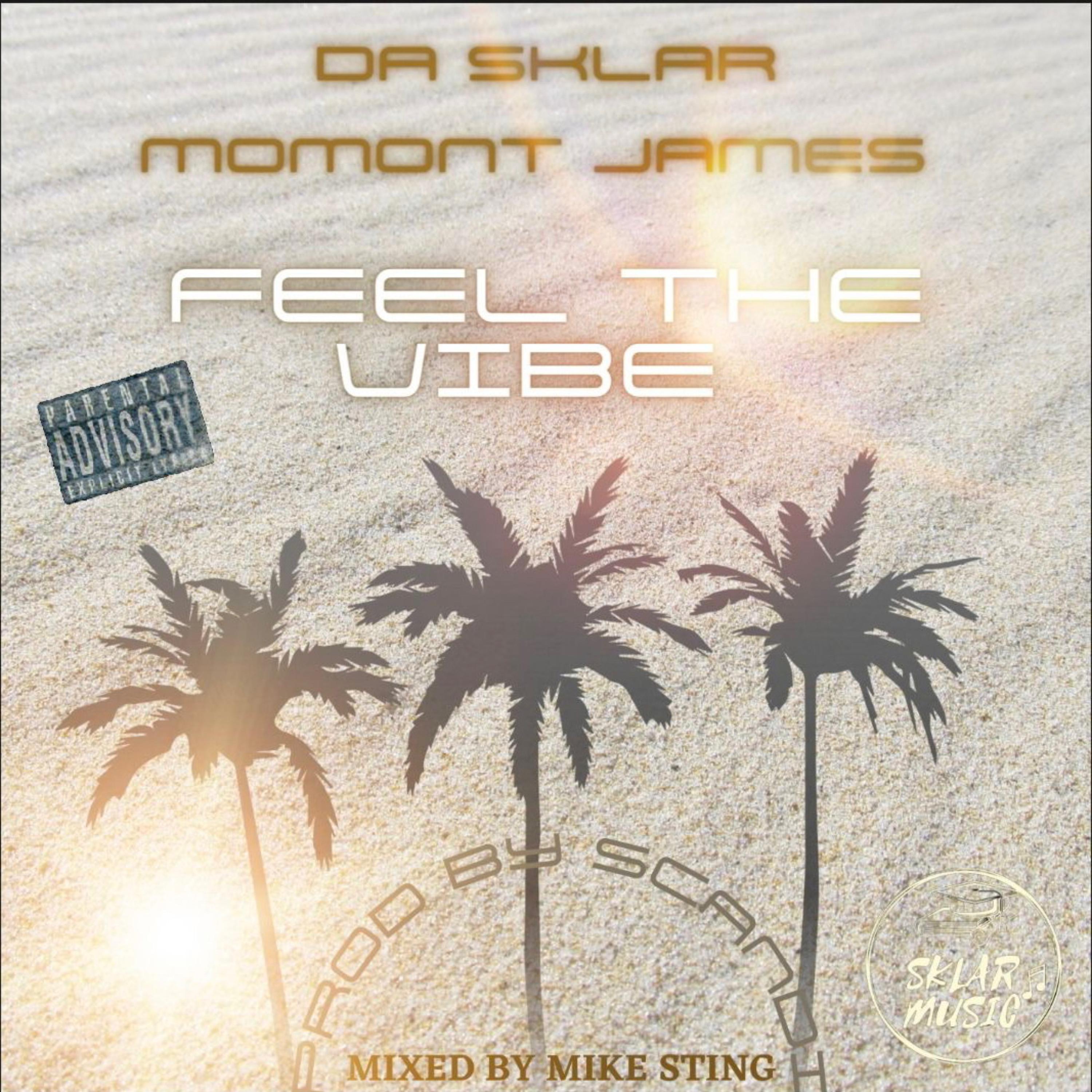 Feel The Vibe artwork