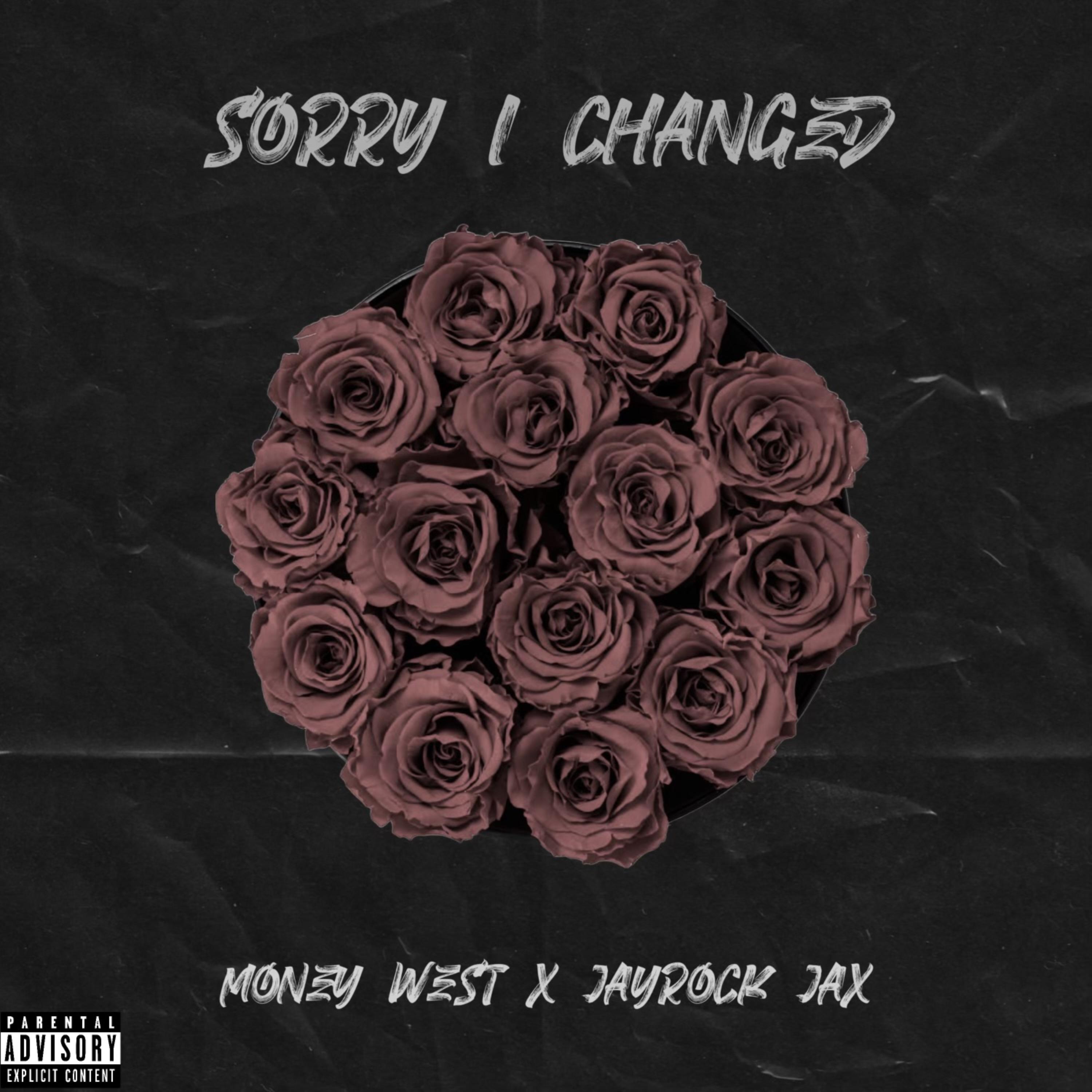Sorry I Changed artwork