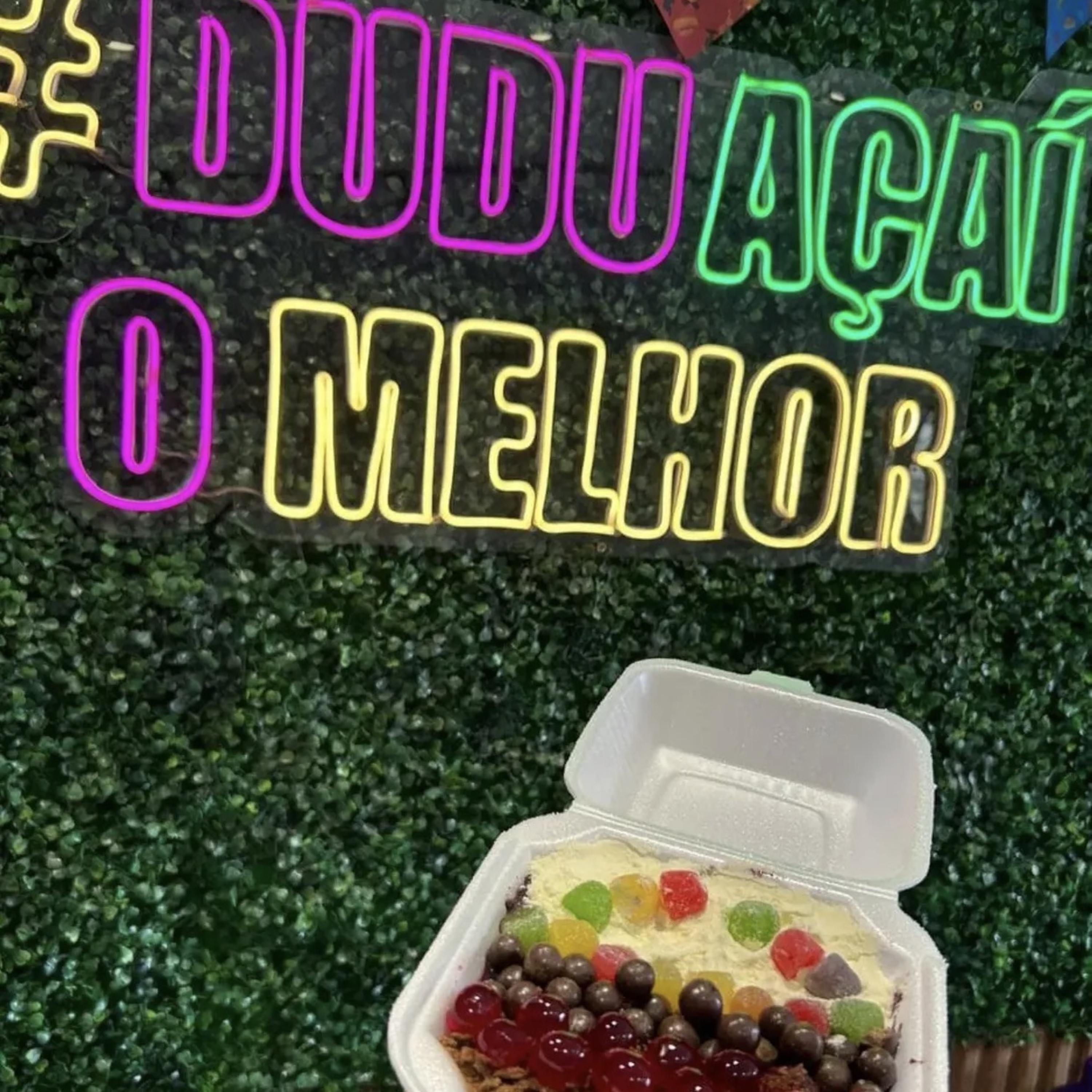 Dudu Açaí Zum Zum Zum artwork