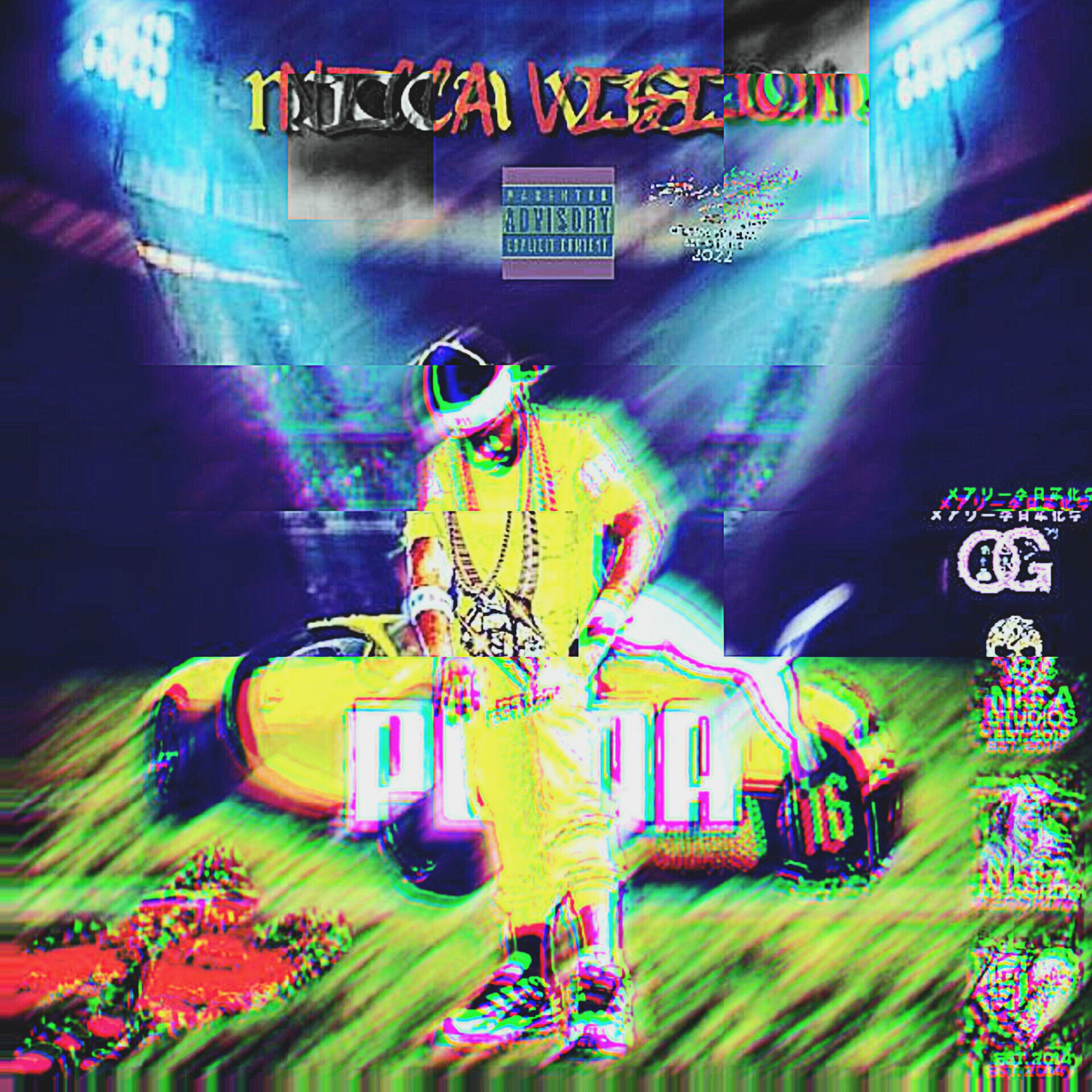 N.I.C.C.A Vision artwork