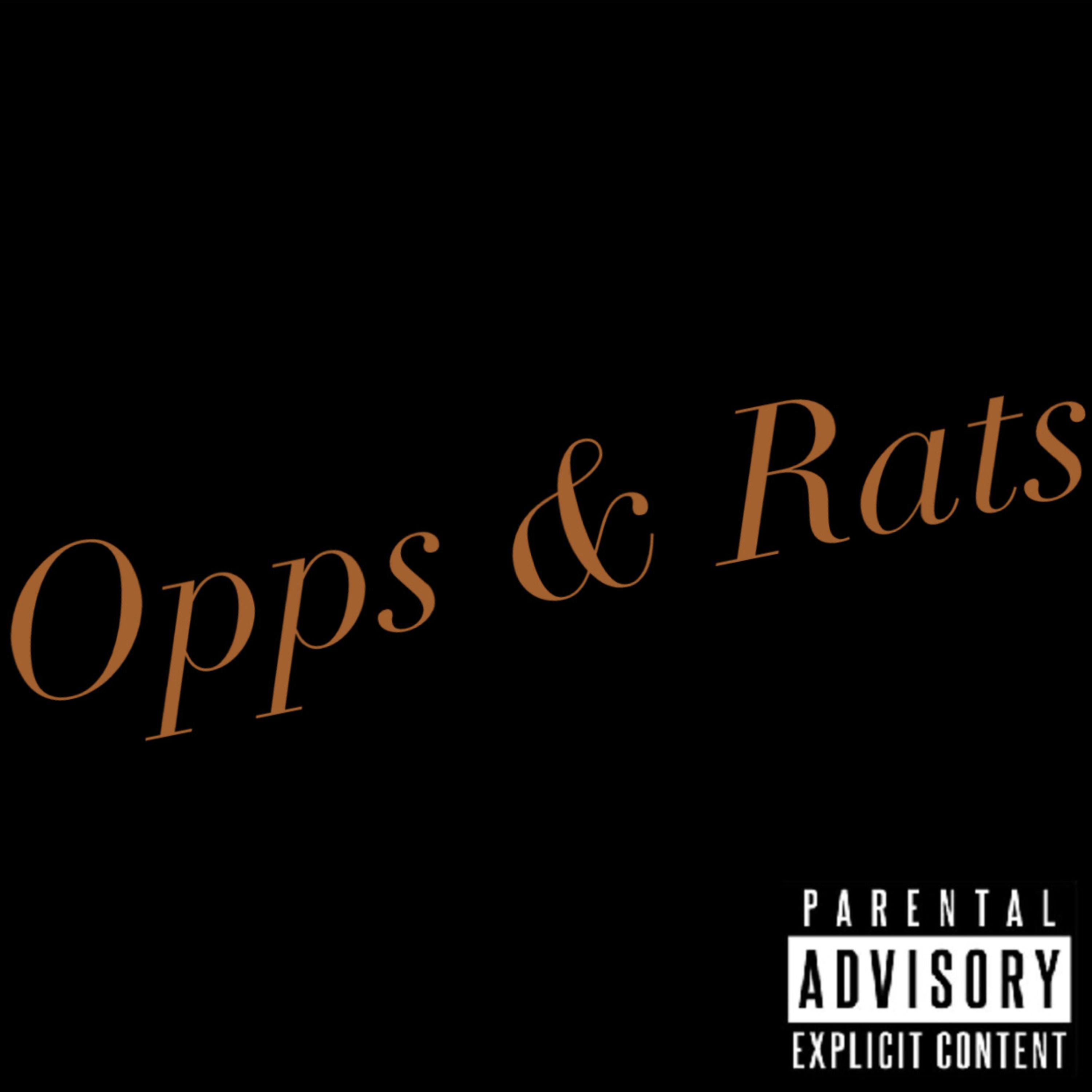 Opps N Rats artwork