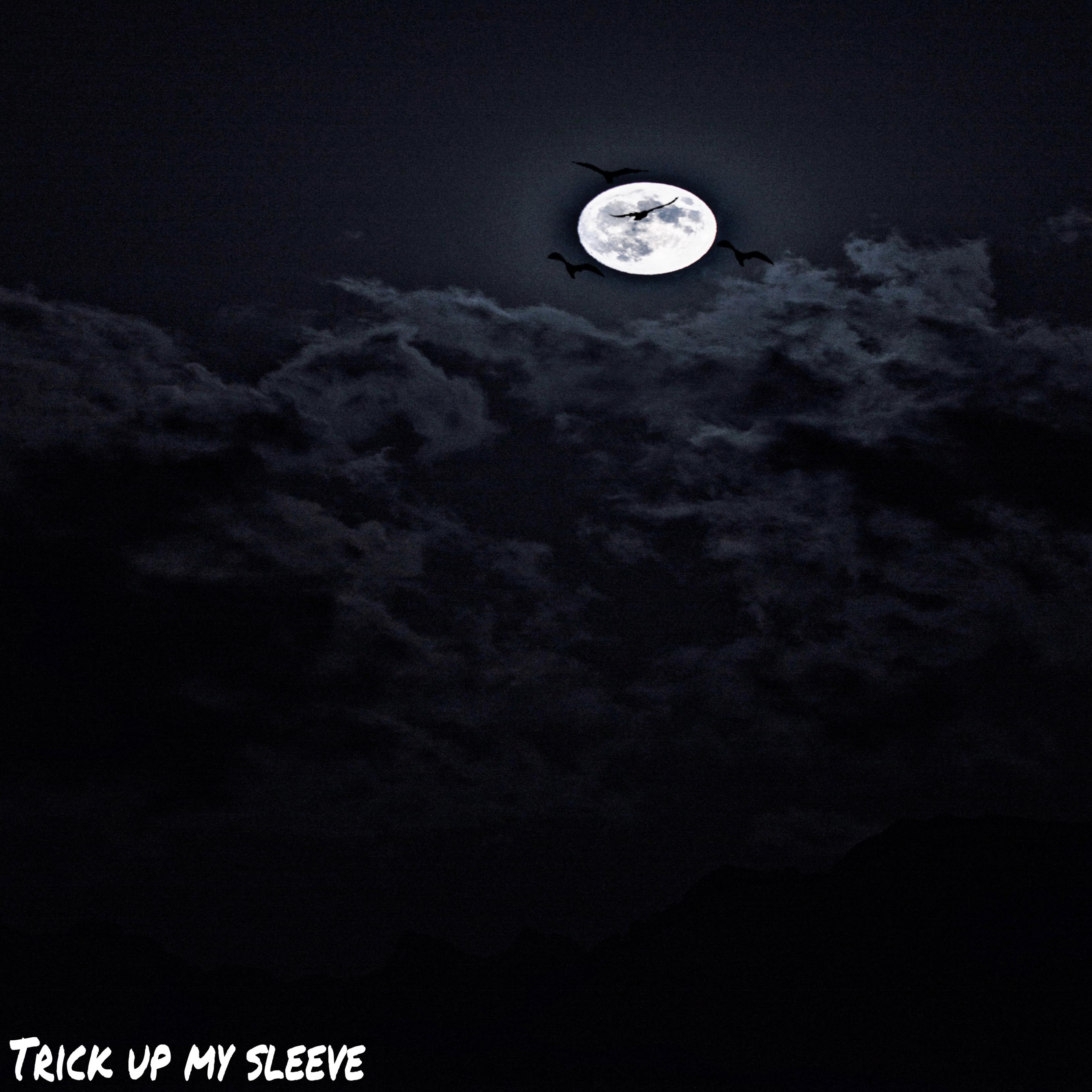 Trick up my sleeve by V4didit cover art