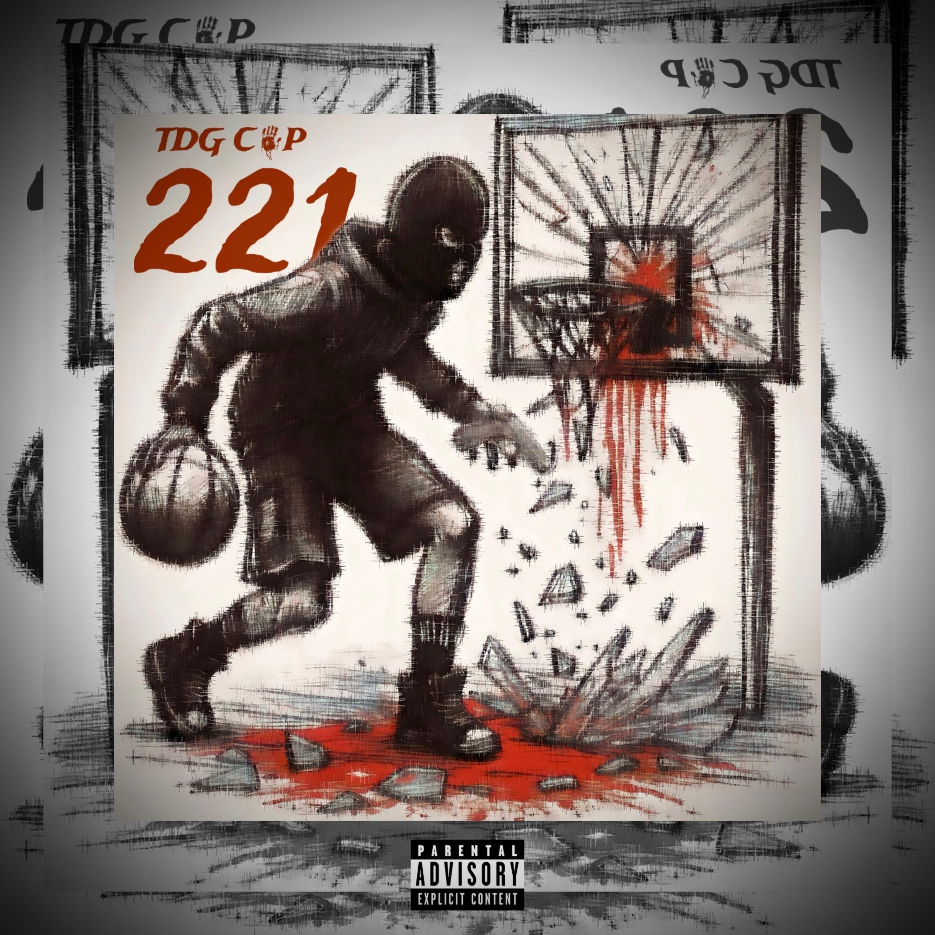 221 Zone artwork
