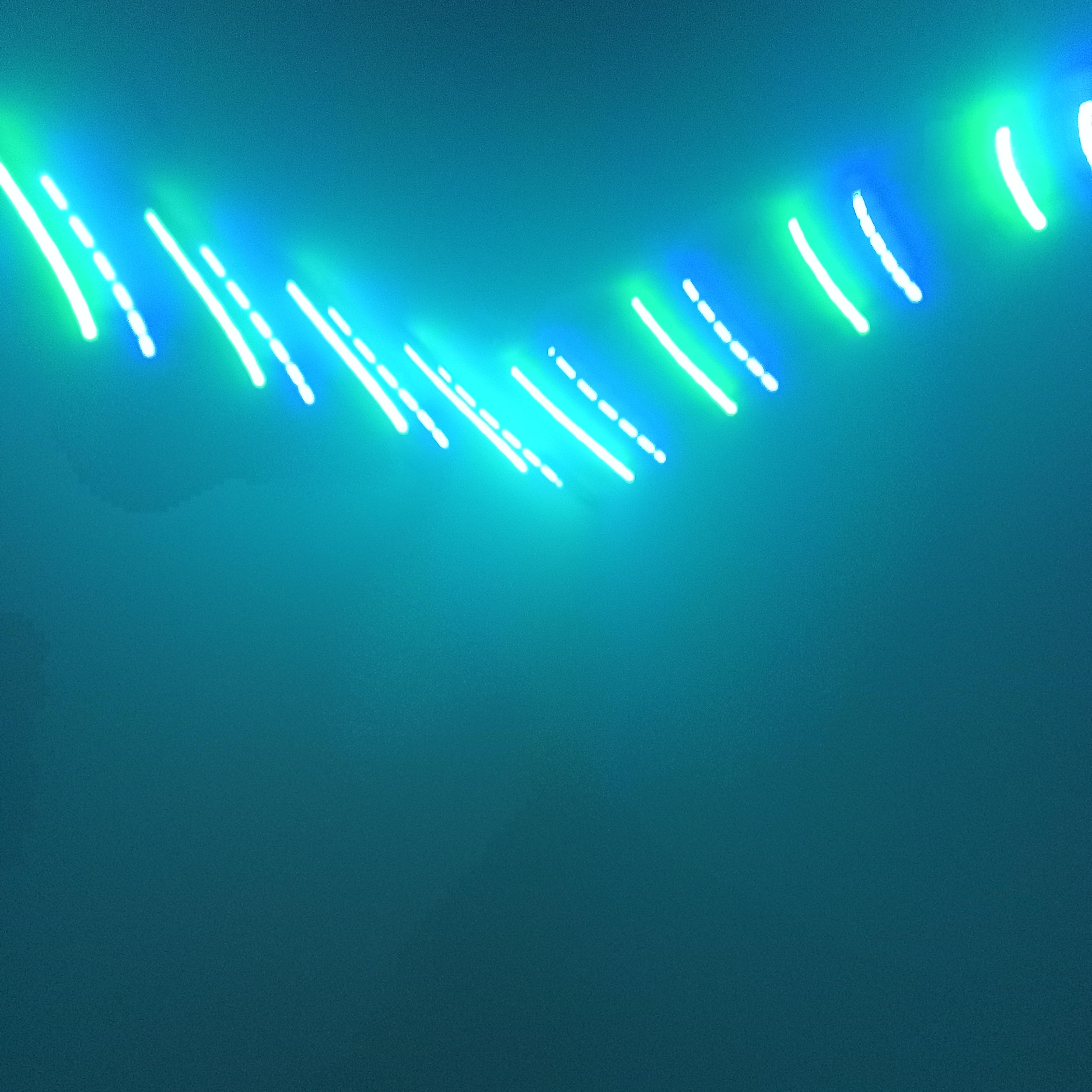 Winter Nights artwork