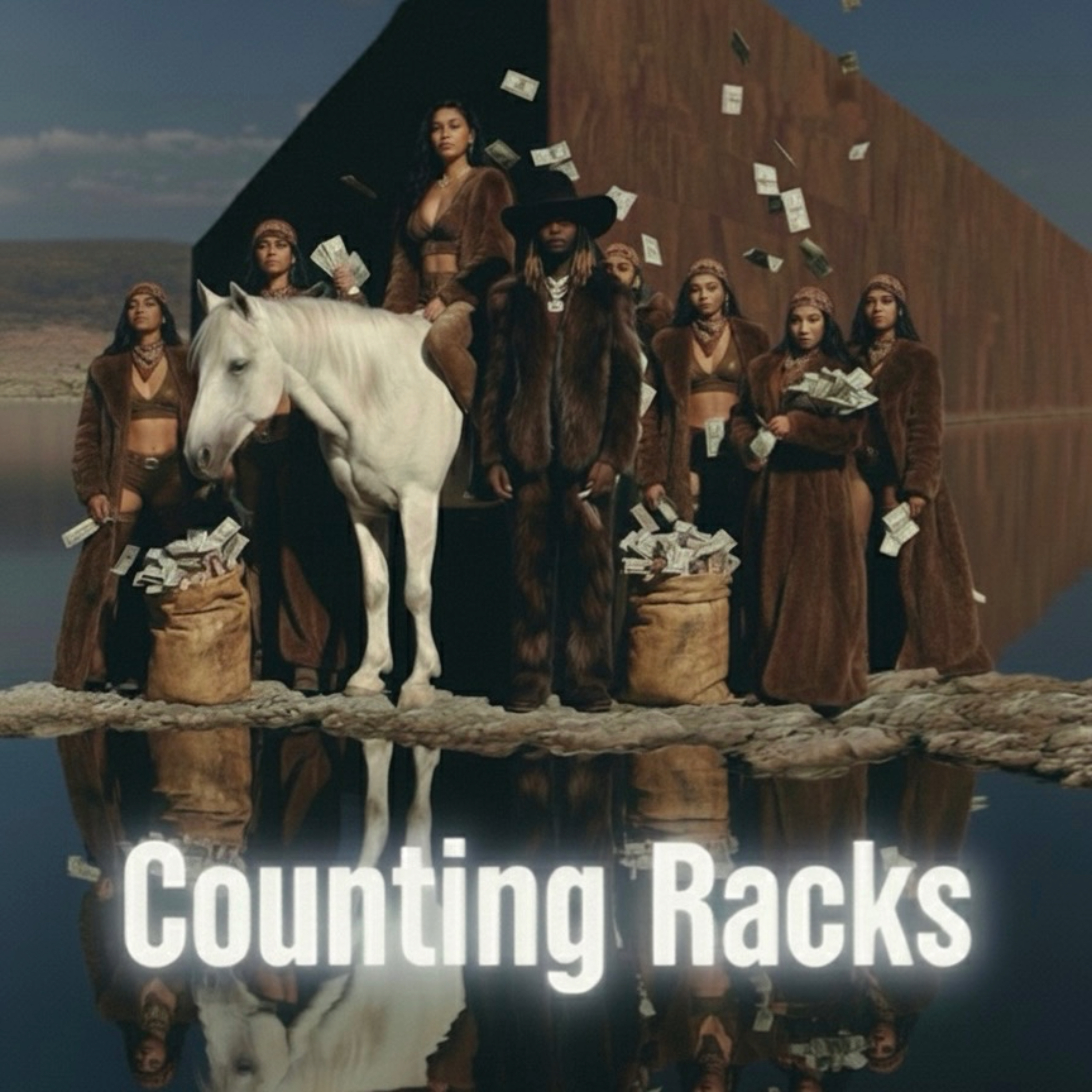 COUNTING RACKS artwork