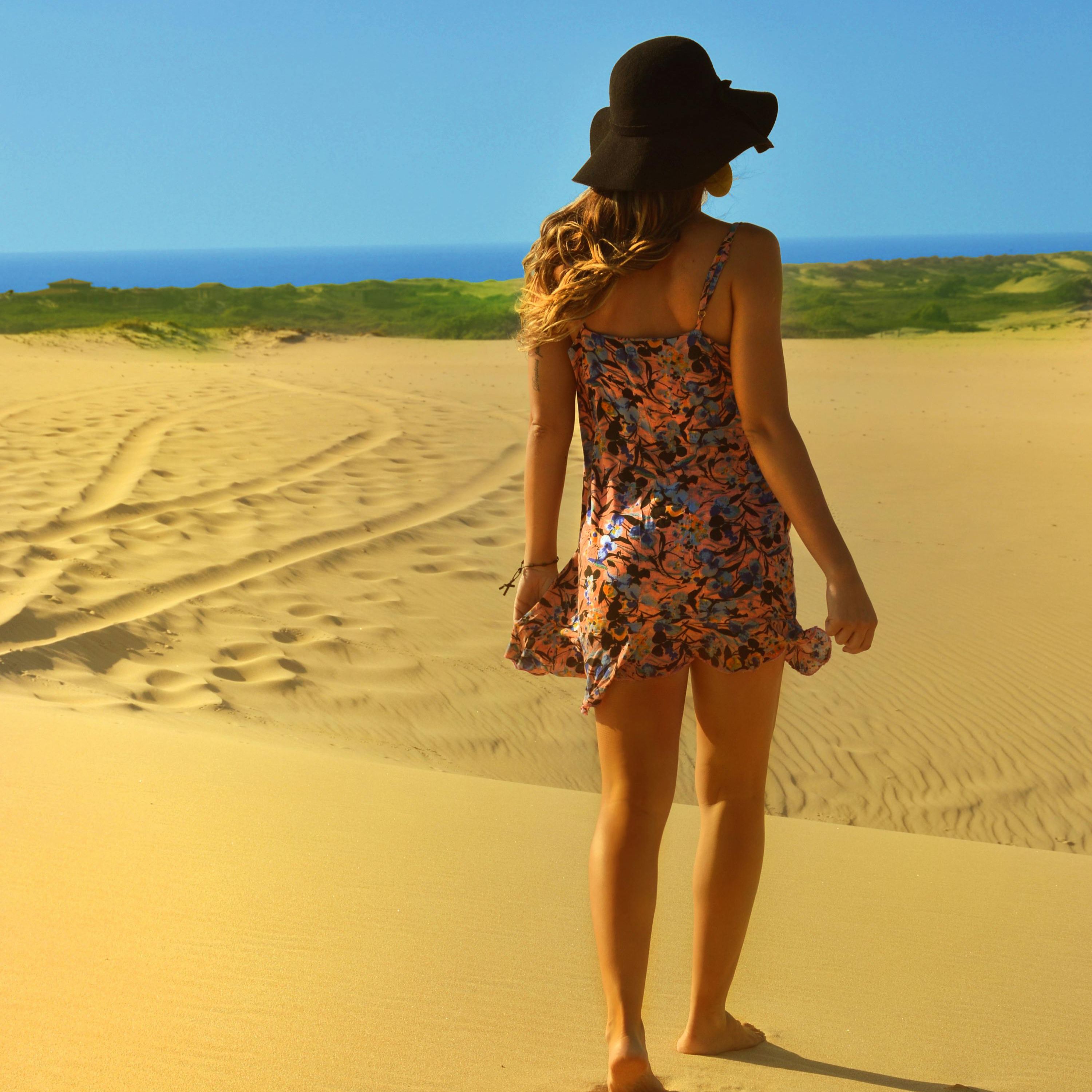 Lost in the Dunes artwork