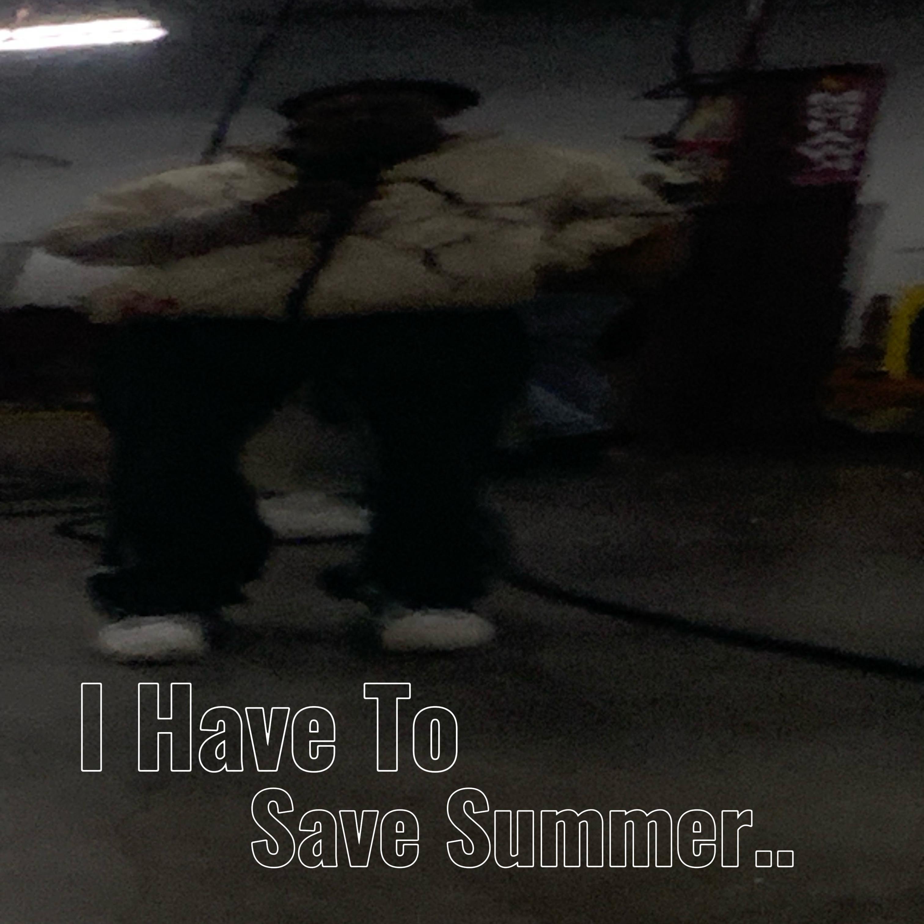 I Have To Save Summer artwork