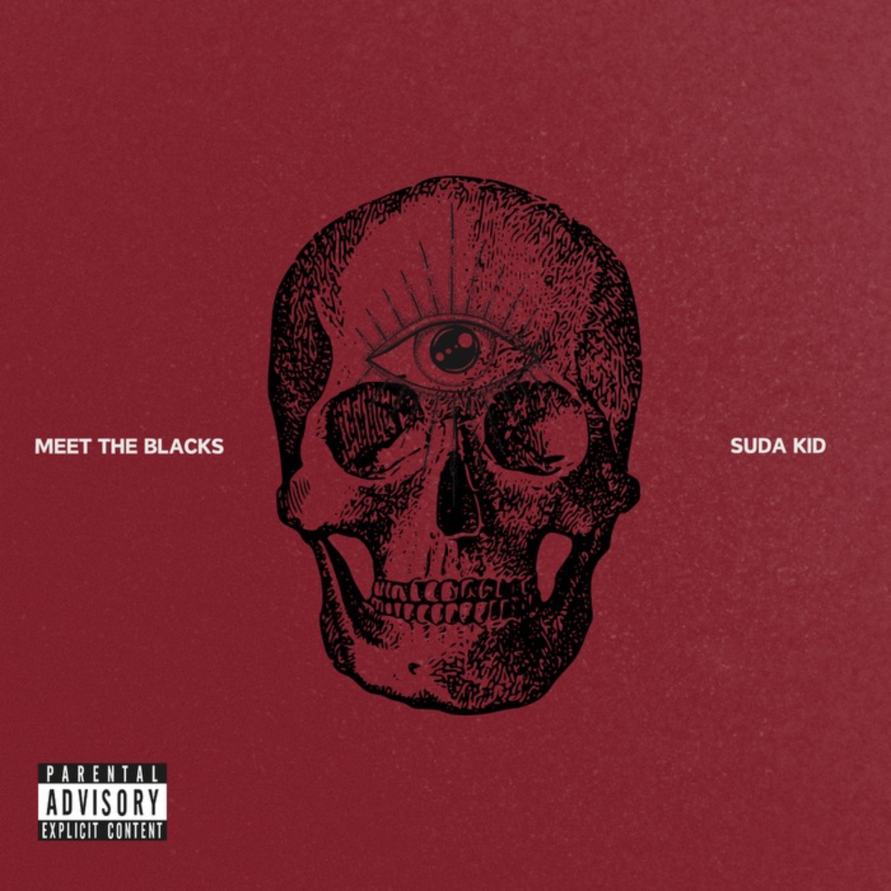 MEET THE BLACKS artwork