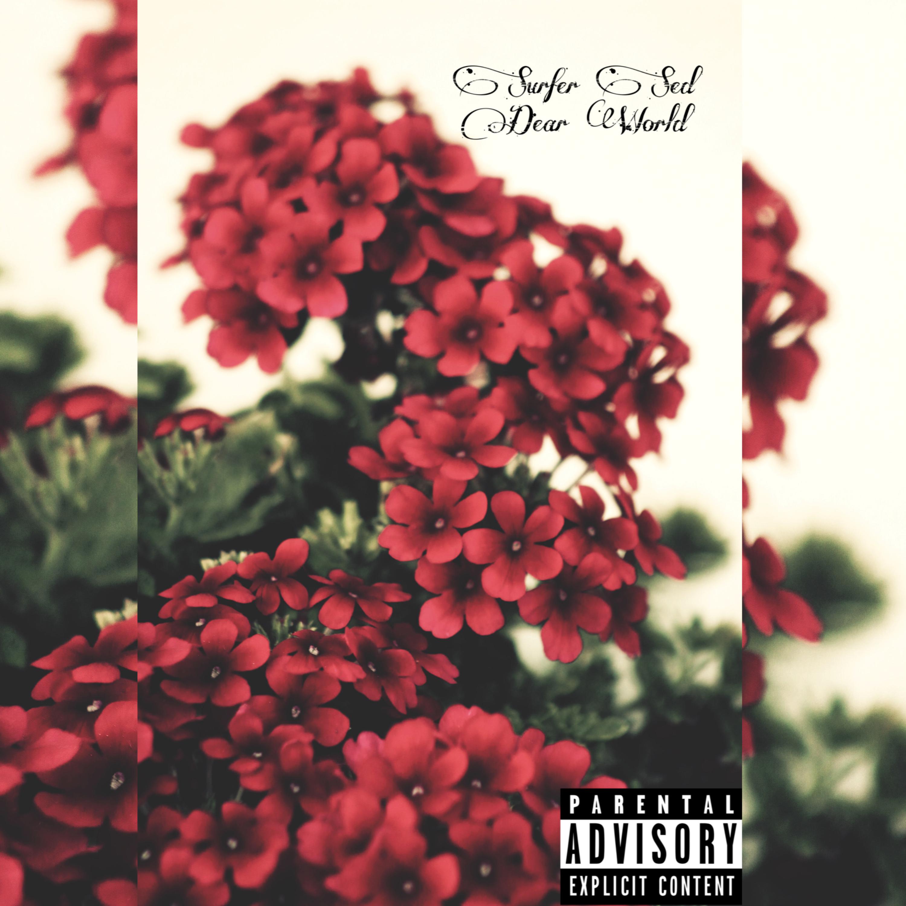 Dear World artwork