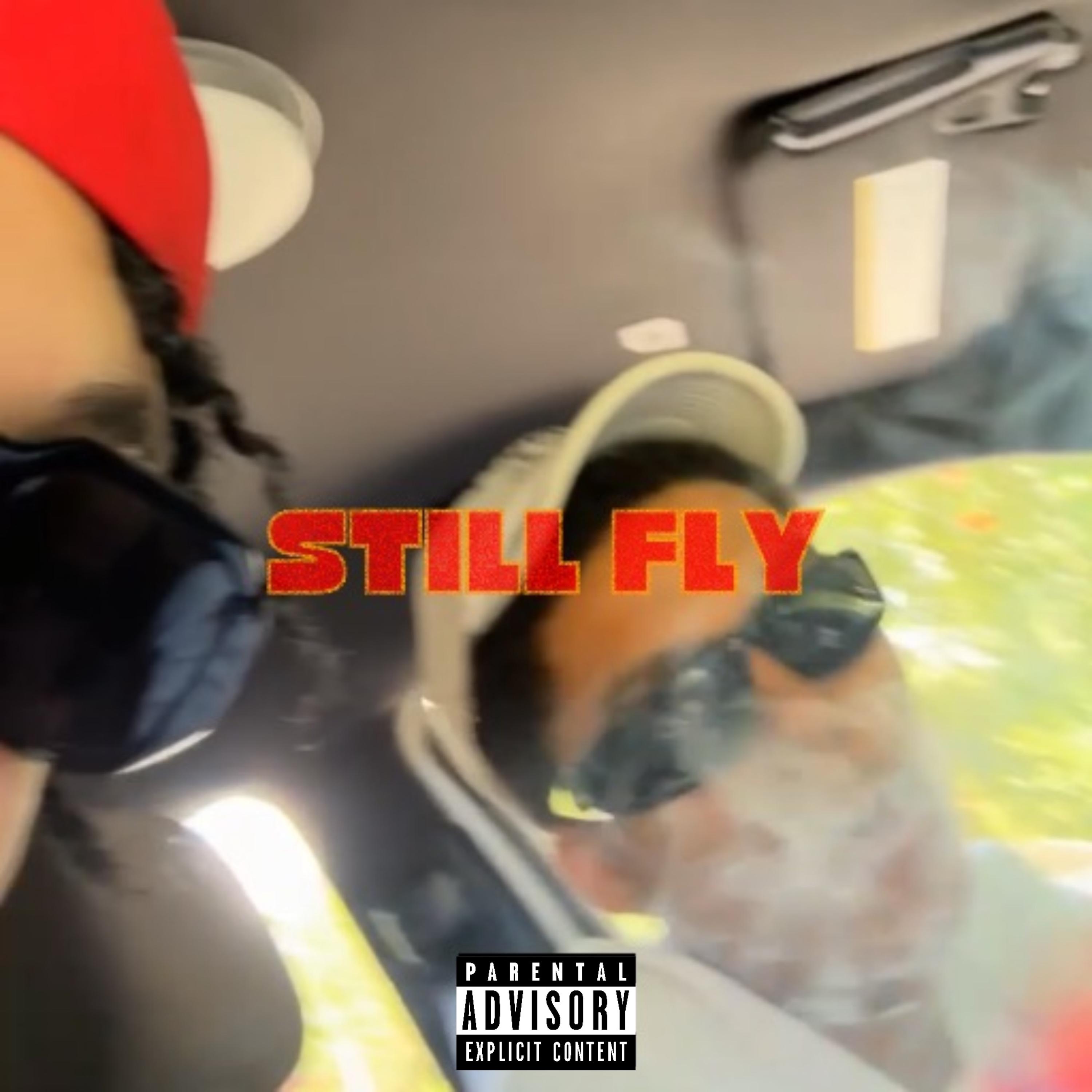 Still Fly artwork
