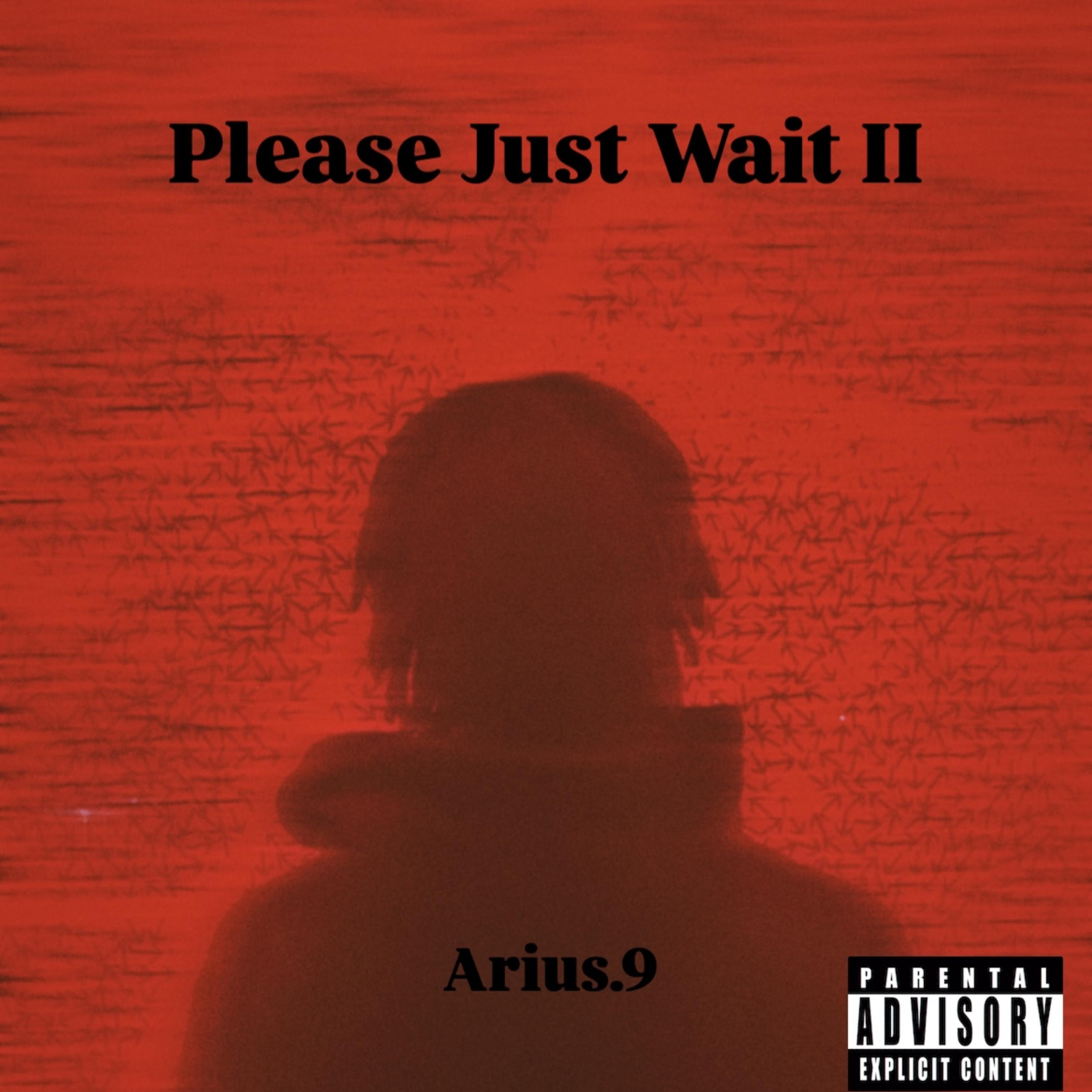 Please Just Wait II artwork