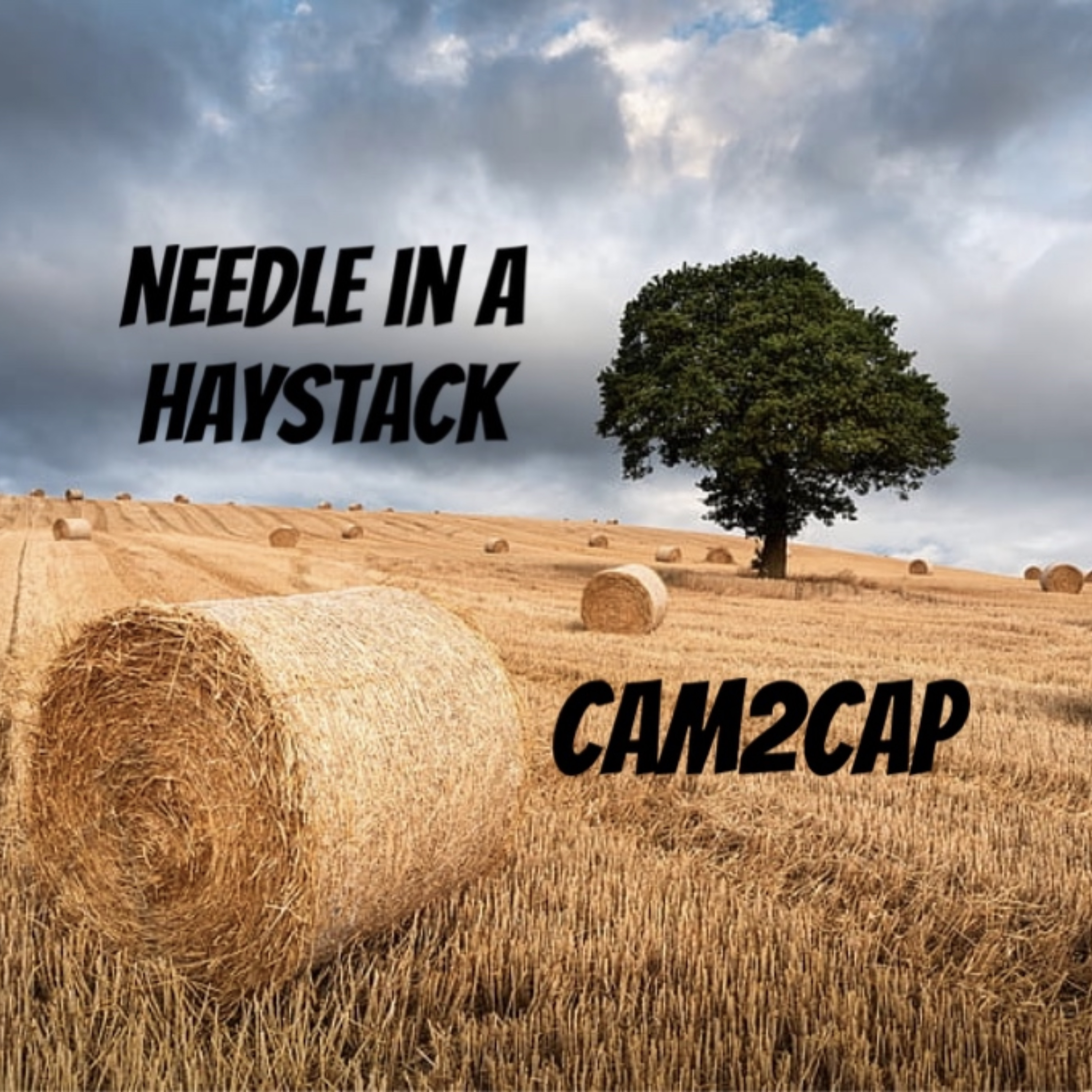 Needle In A Haystack by Cam2Cap cover art