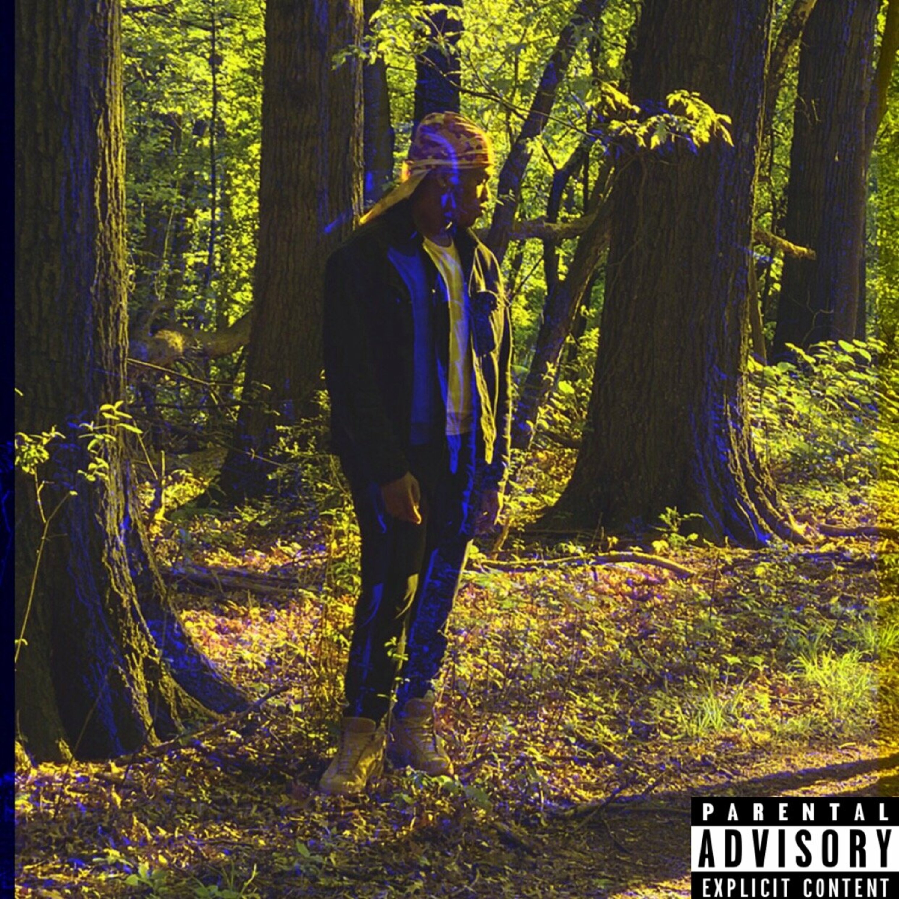 +1804+ artwork